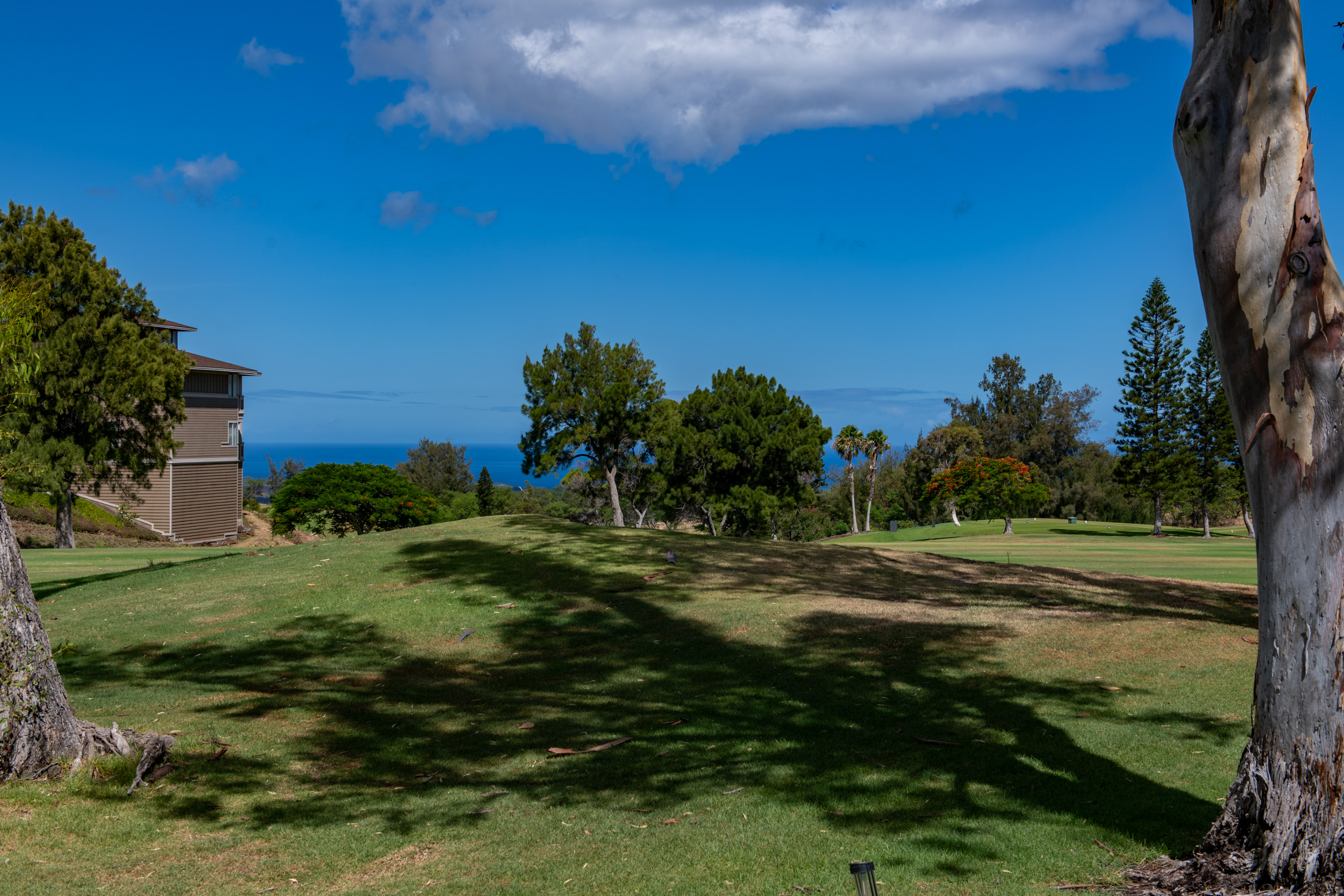 68-3840 Lua Kula St H105 Property Photo 2