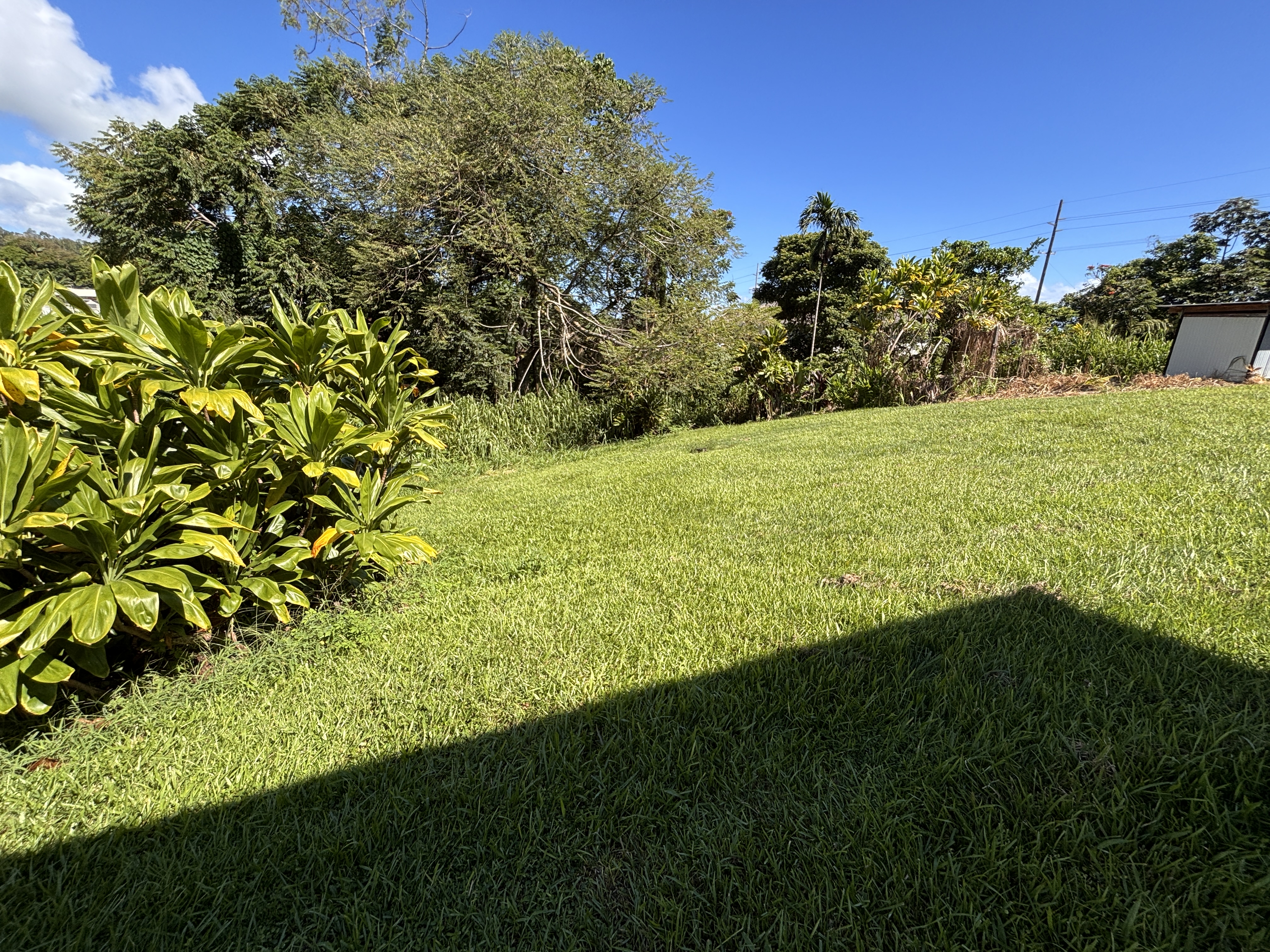 11 Nanea St Property Photo 23