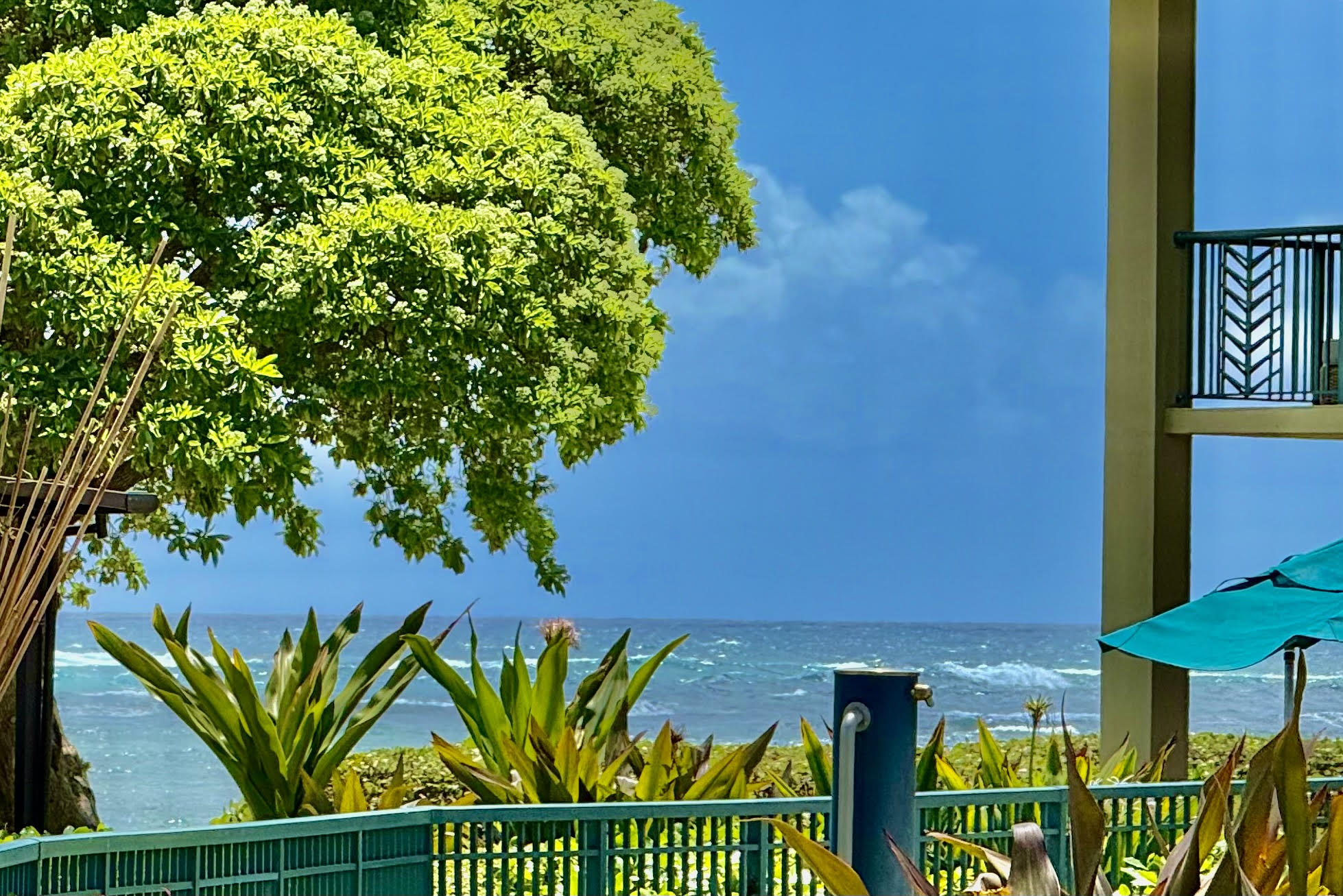 4-820 Kuhio Hwy A101 Property Photo 3