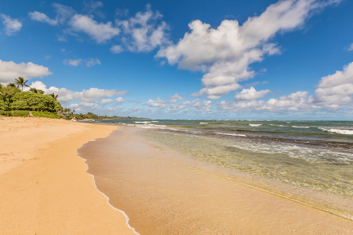 4-820 Kuhio Hwy A101 Property Photo 20