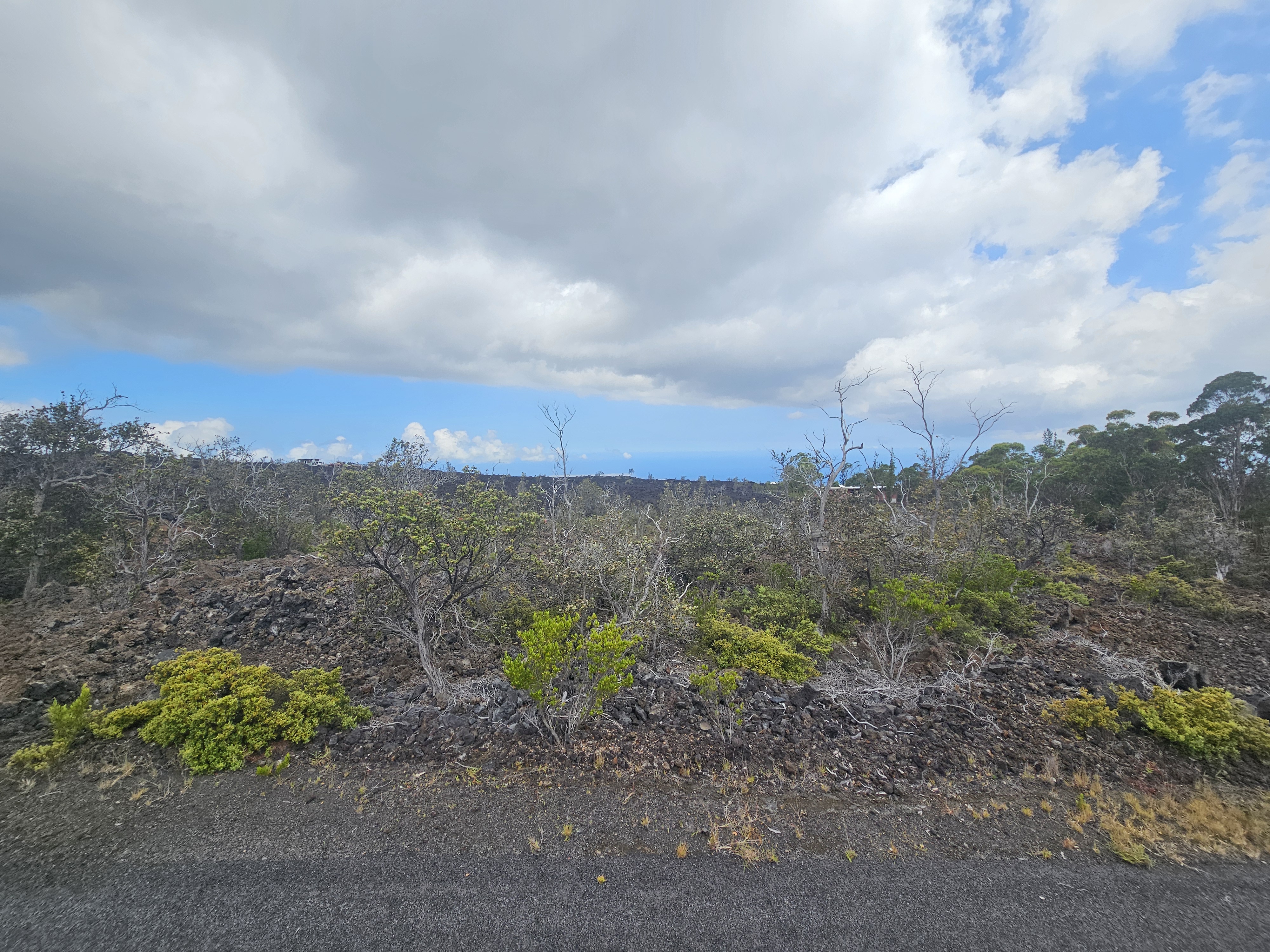 Cocoanut Dr Property Photo 6