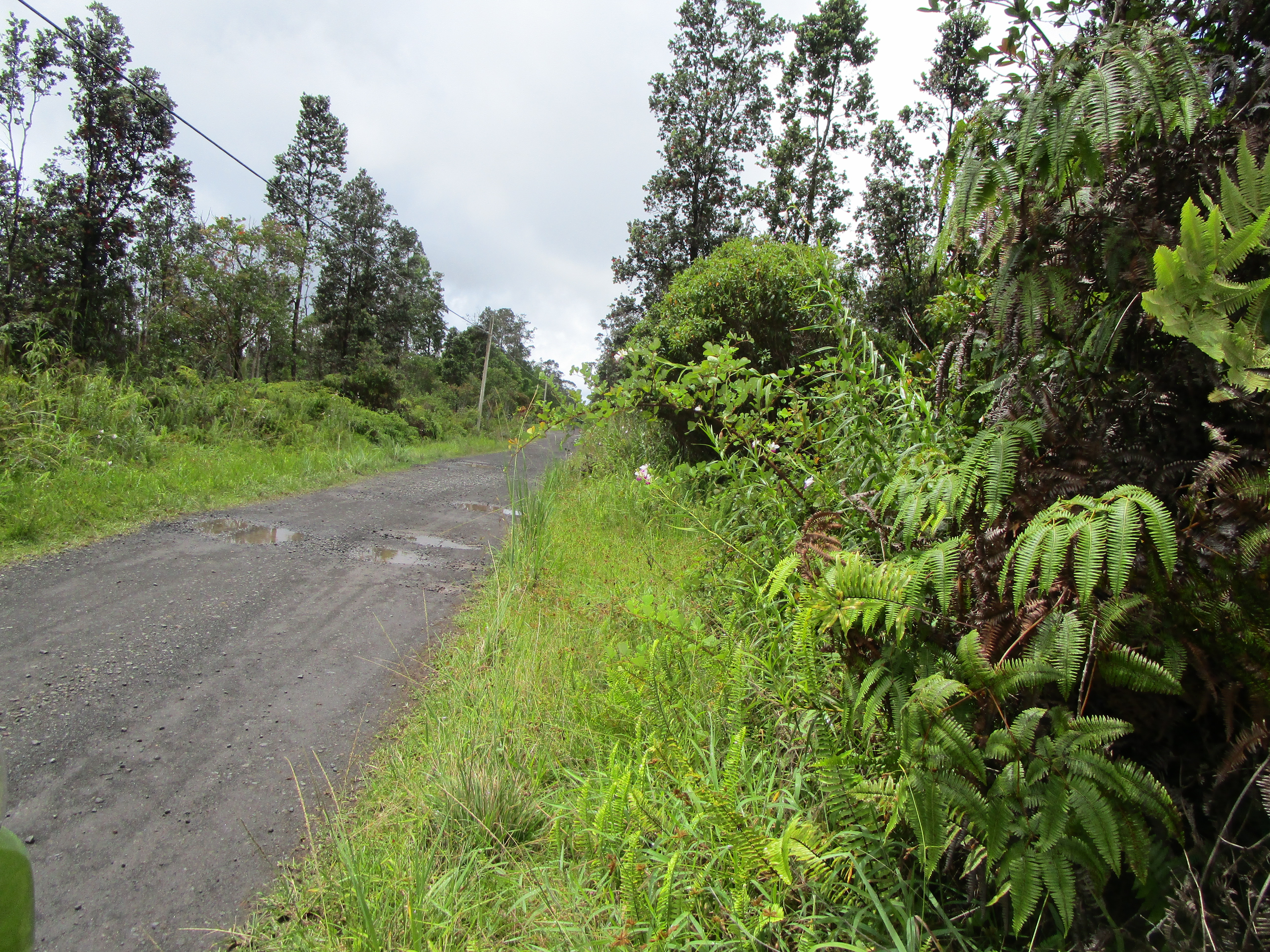 Alaula St Property Photo 3