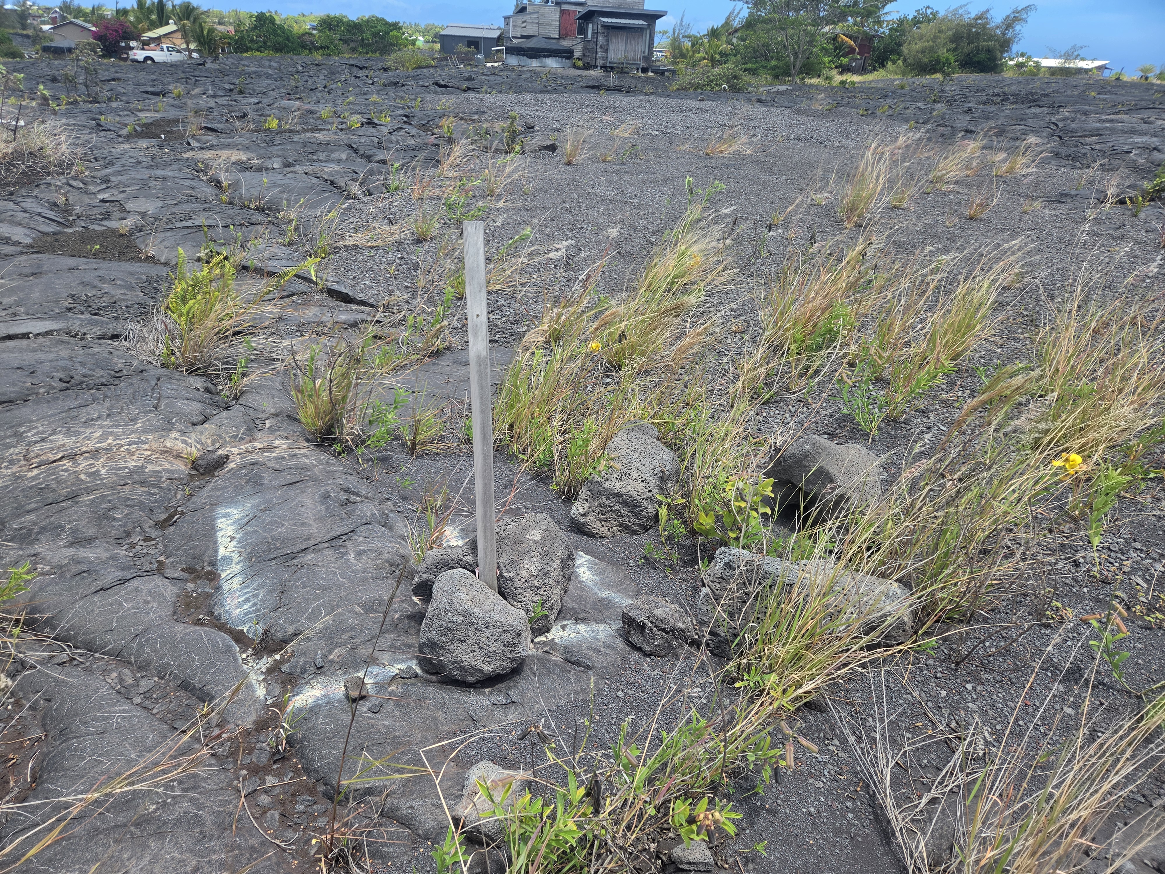Makani St Property Photo 7