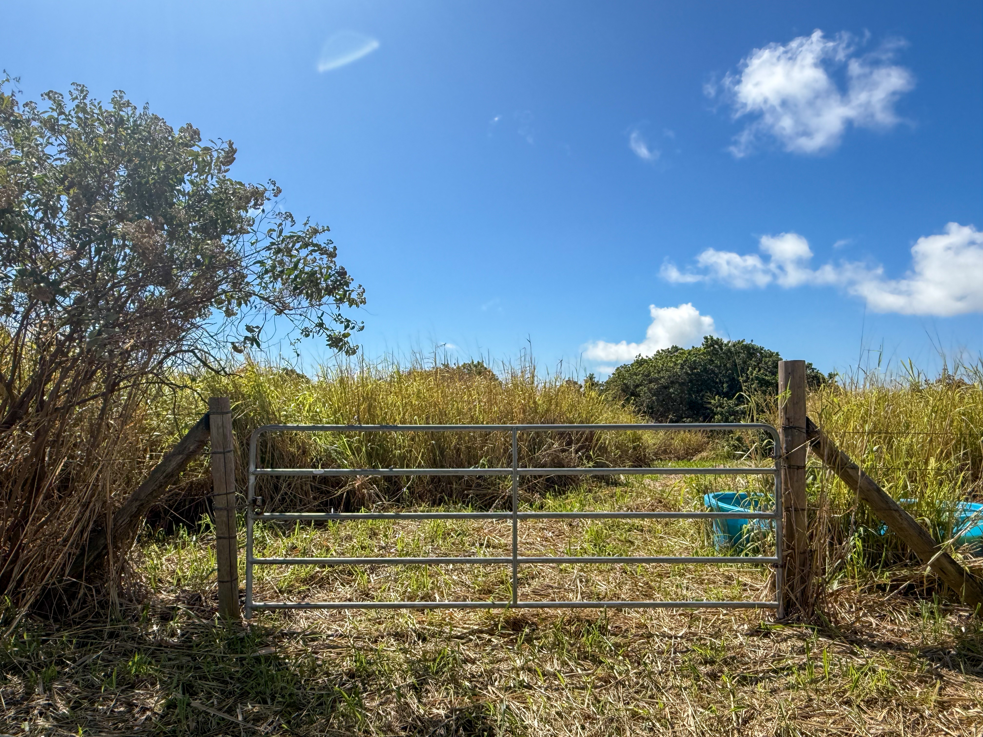 93-5509 Kai Makani Pl Property Photo 4