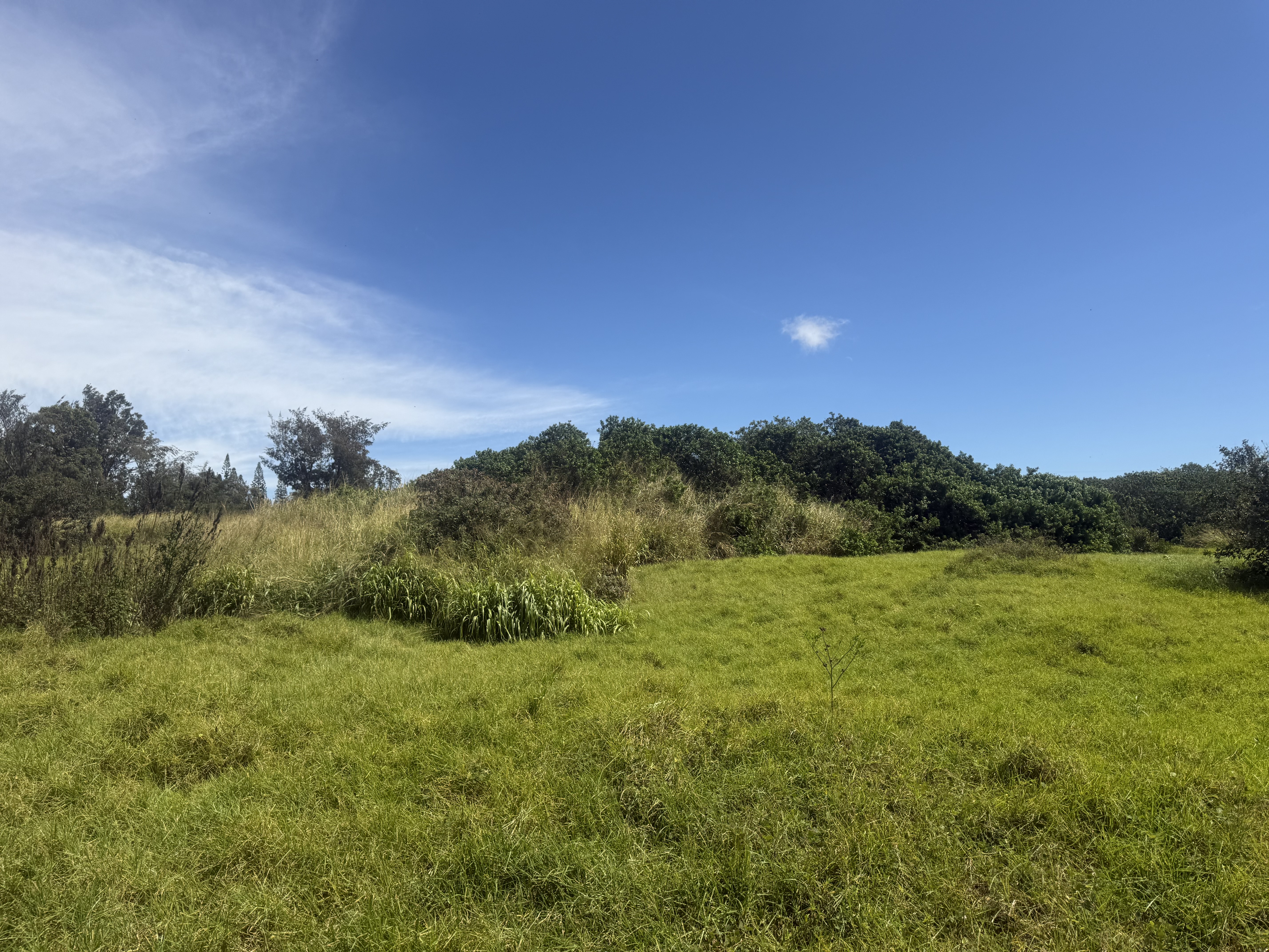 93-5509 Kai Makani Pl Property Photo 7
