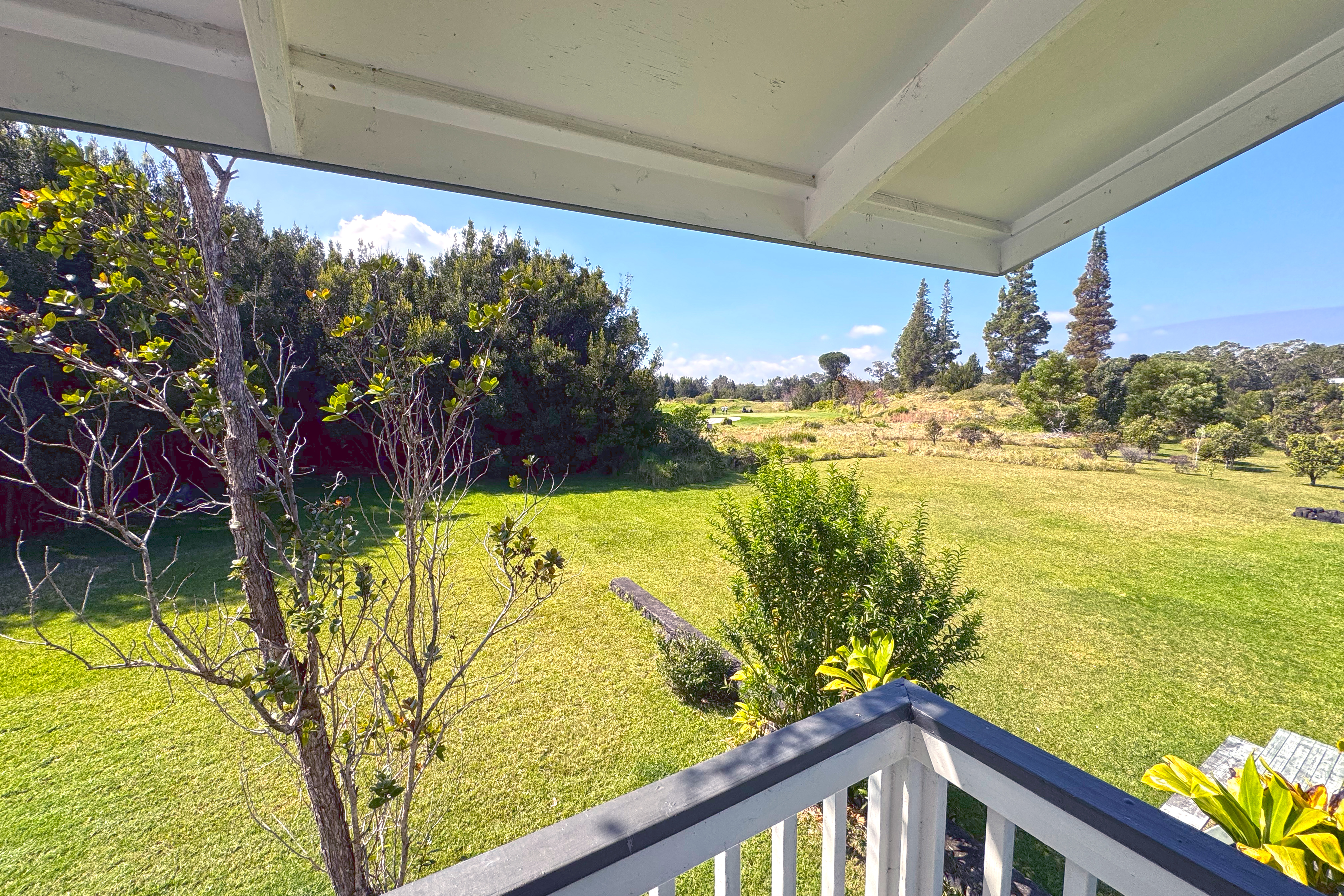 99-7818 Kanawao Pl Property Photo 29