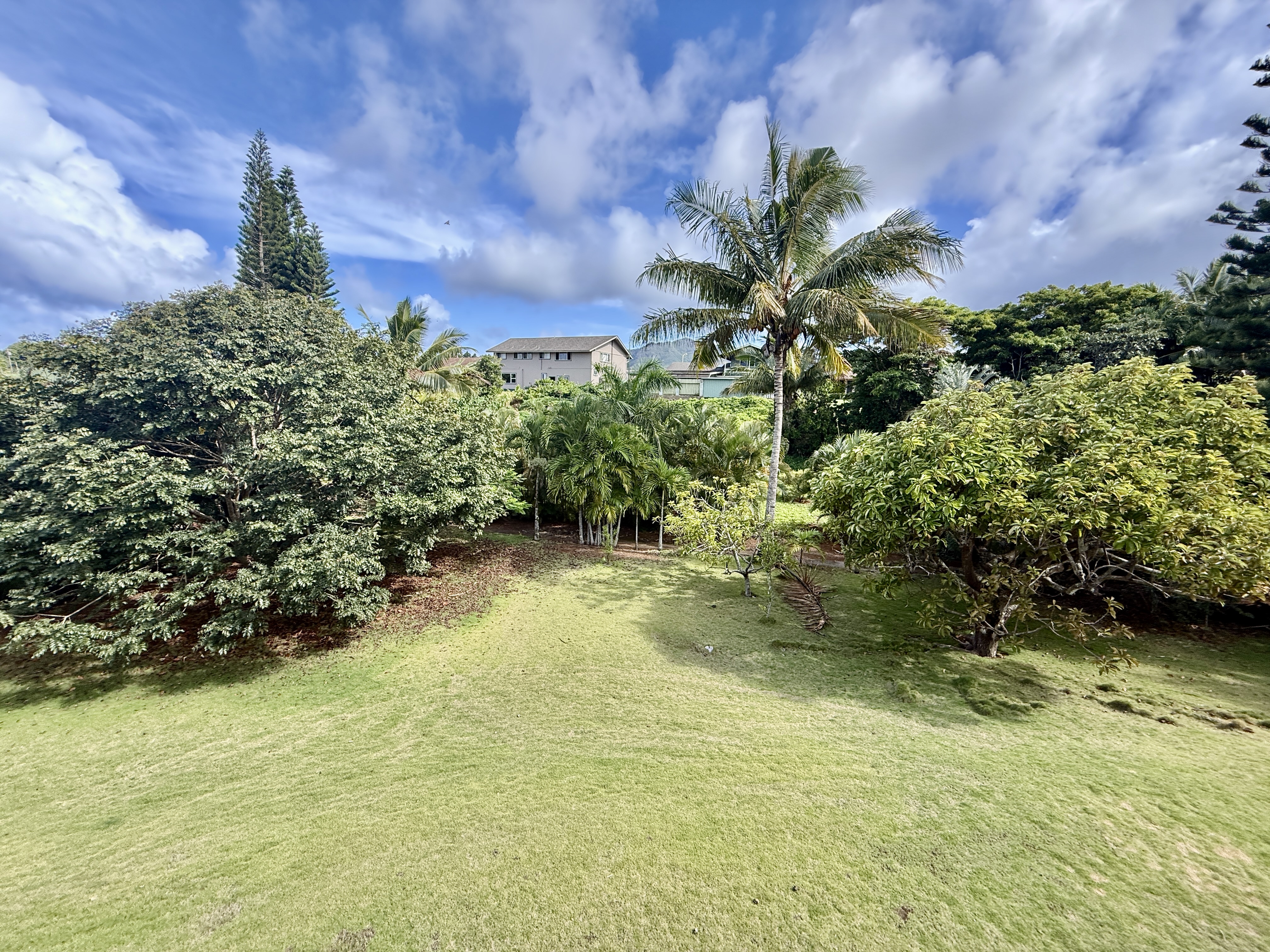 2940 Kanani St Property Photo 5