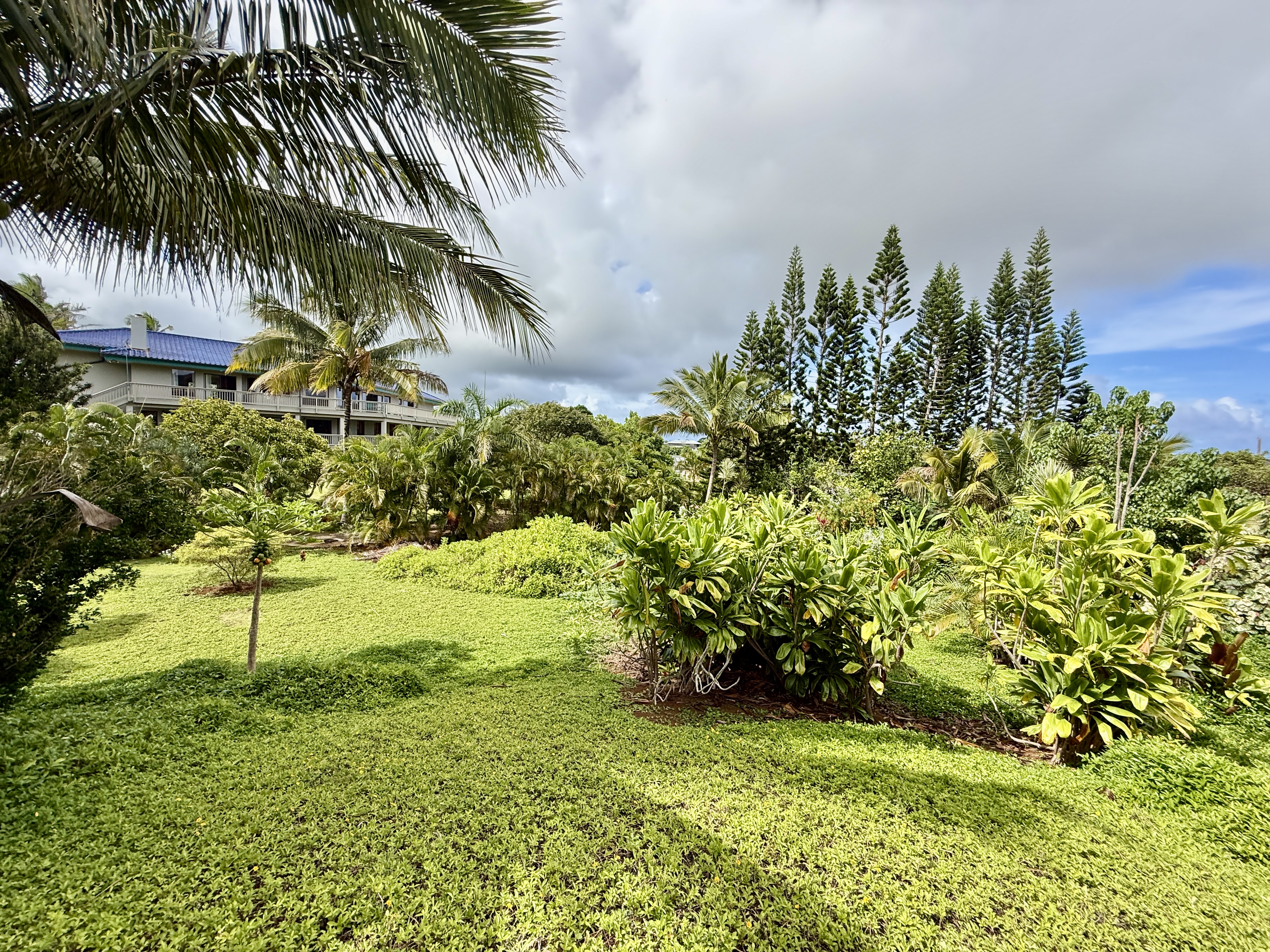 2940 Kanani St Property Photo 6