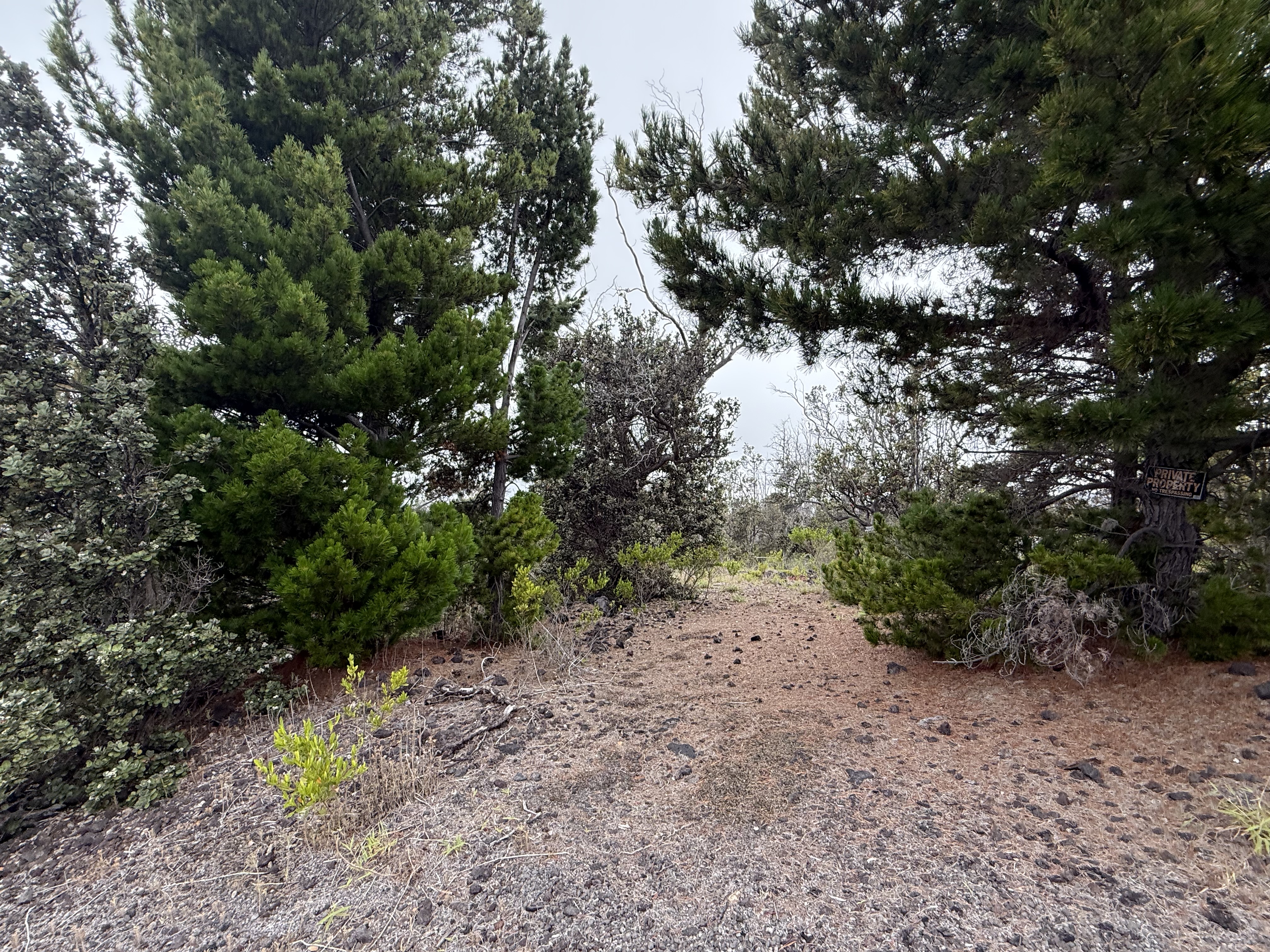 Pineapple Pkwy Property Photo 2