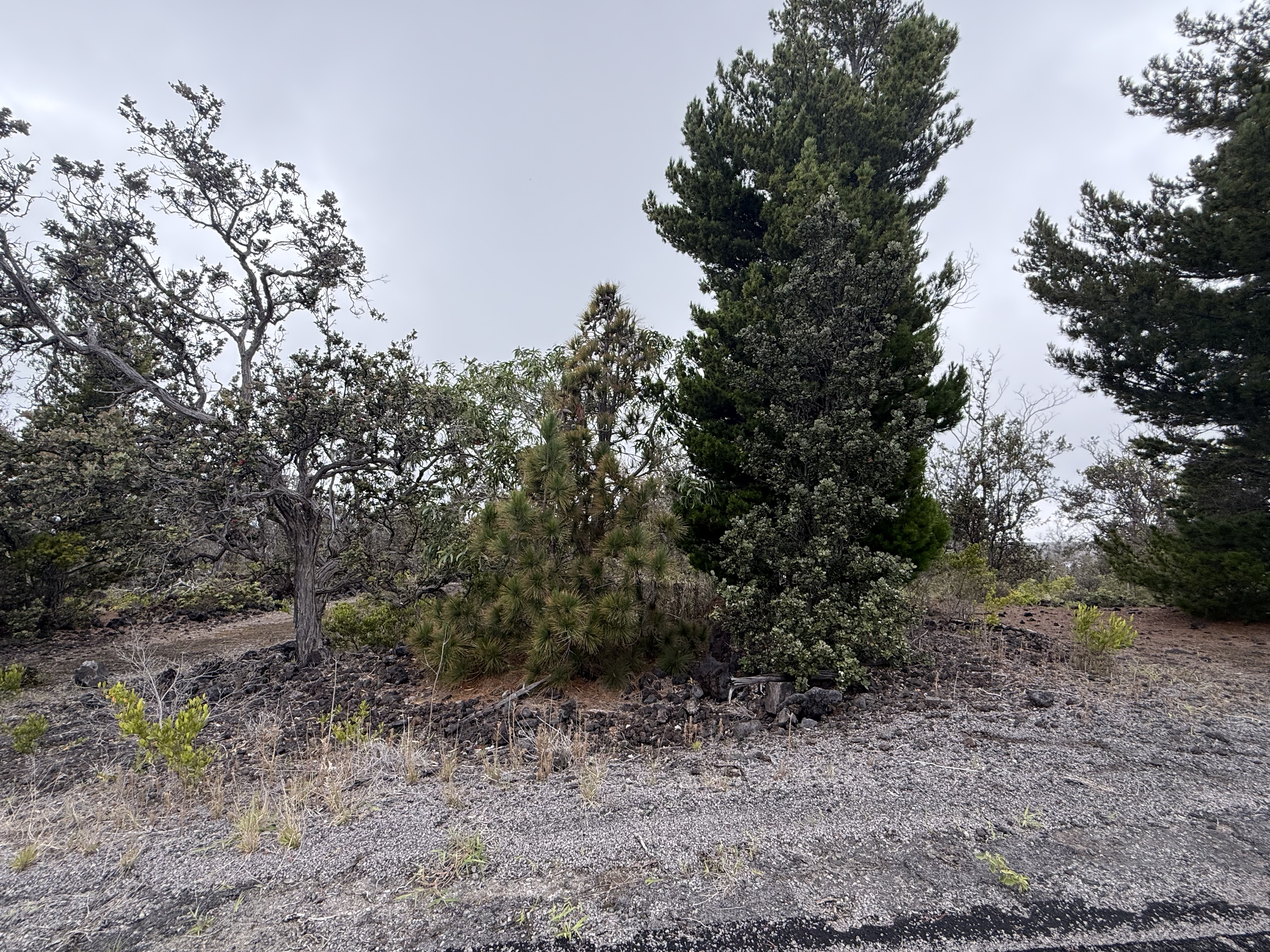 Pineapple Pkwy Property Photo 3