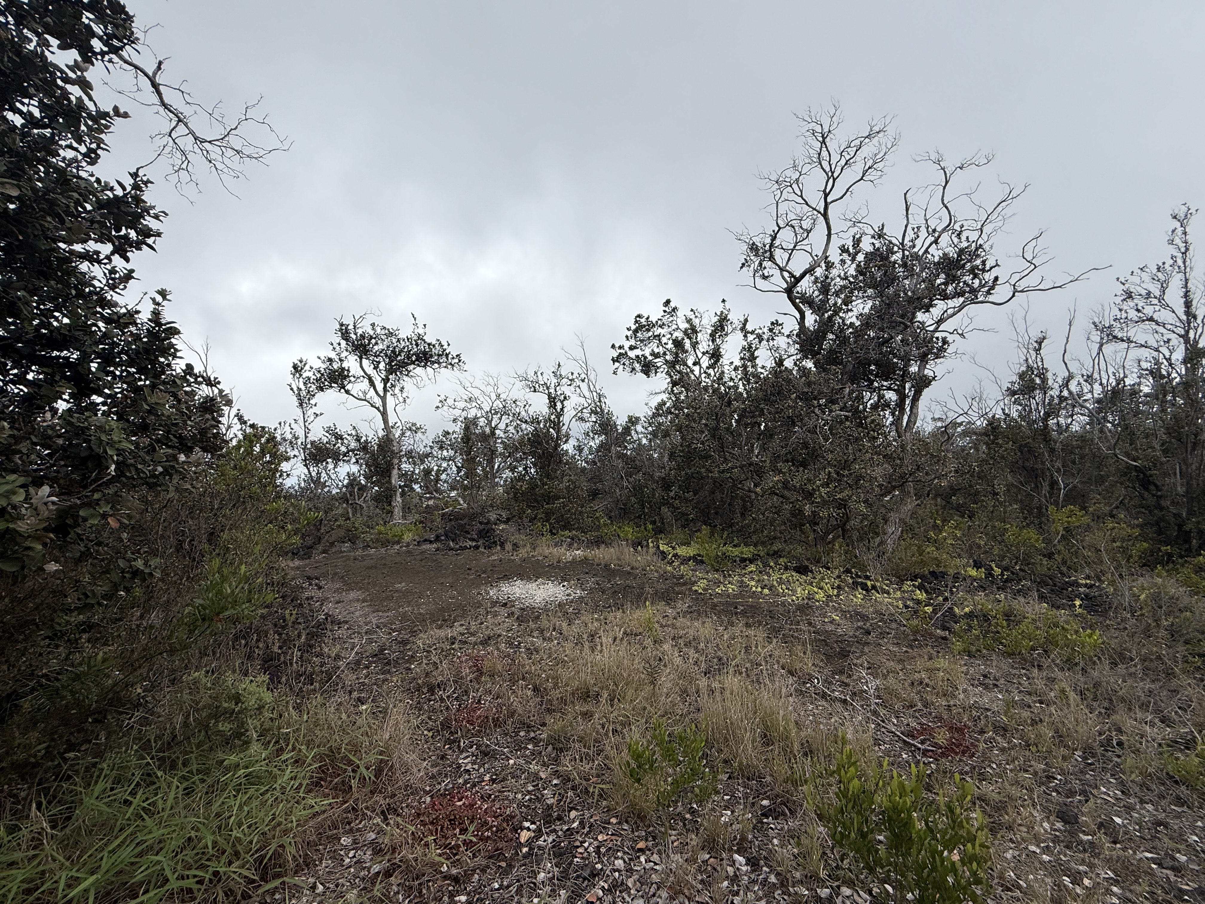 Pineapple Pkwy Property Photo 5