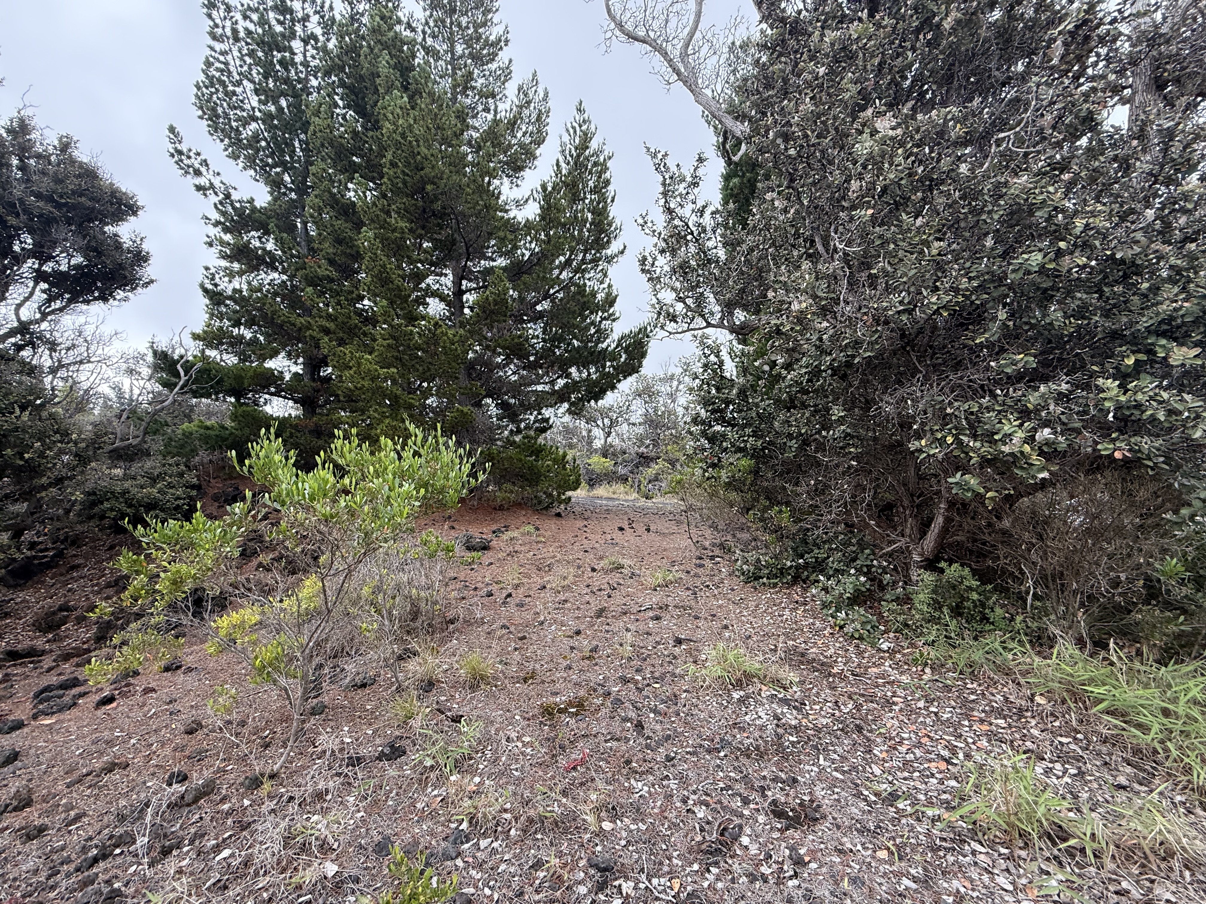 Pineapple Pkwy Property Photo 6