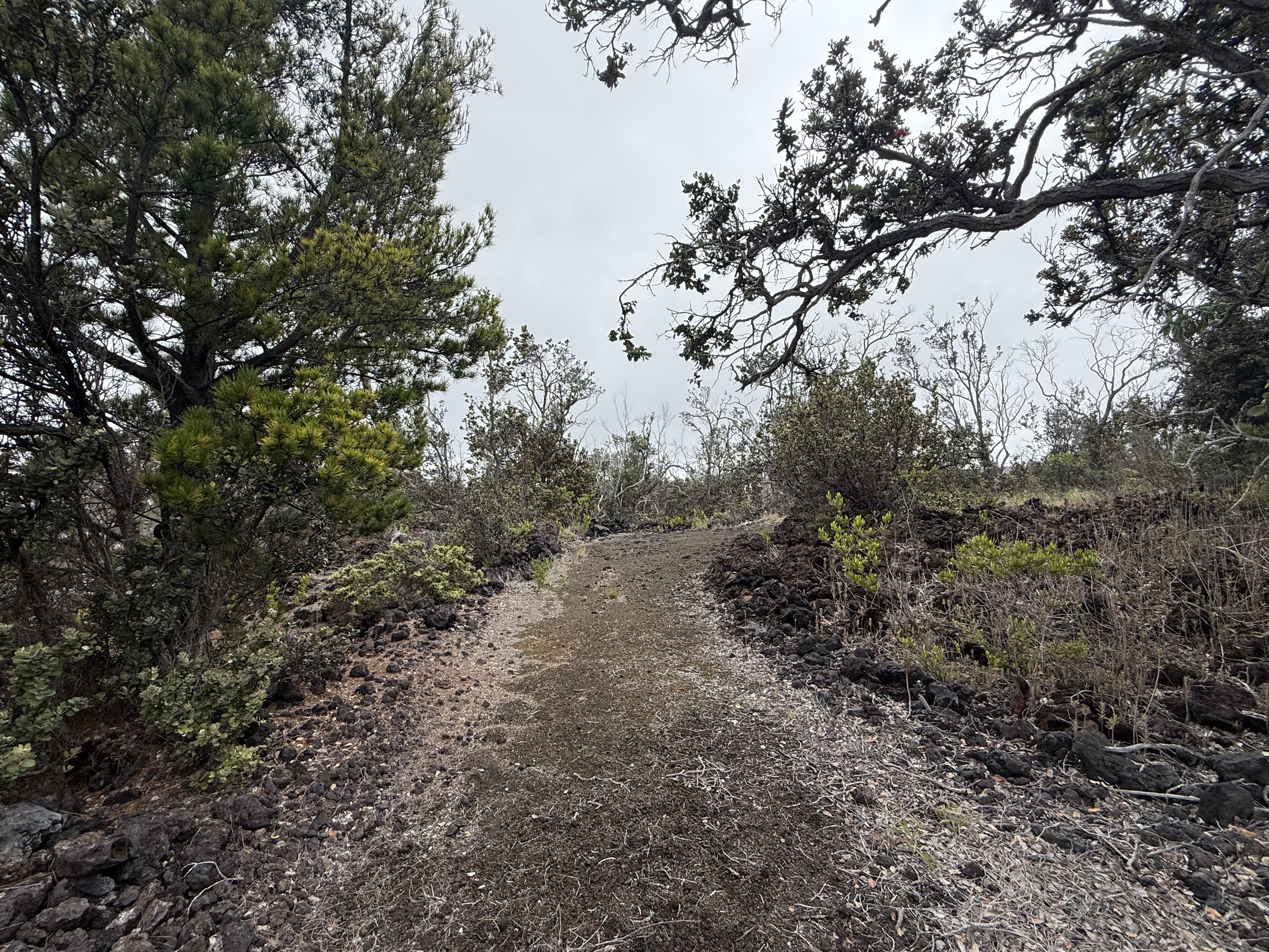 Pineapple Pkwy Property Photo 8