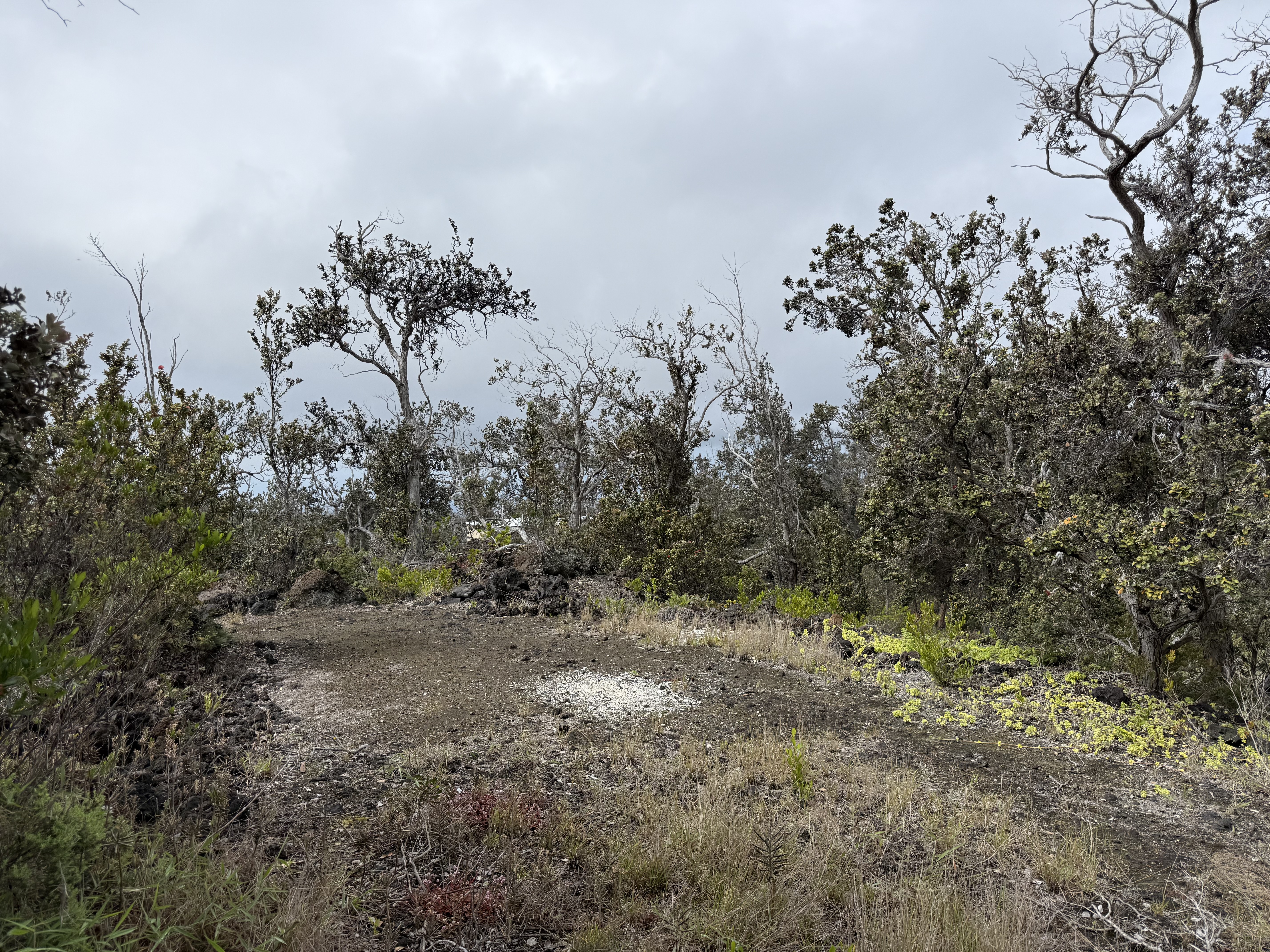 Pineapple Pkwy Property Photo 10
