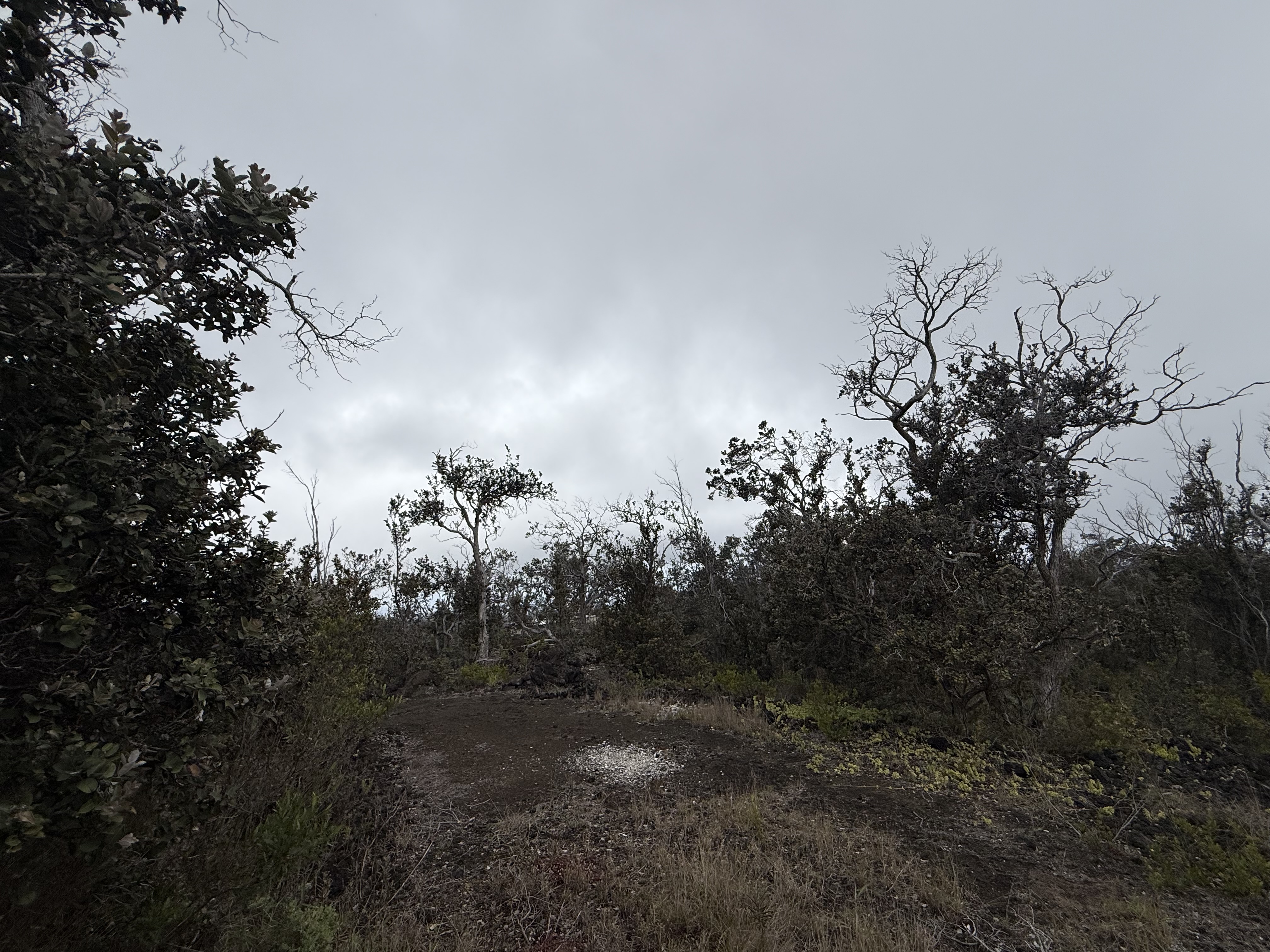 Pineapple Pkwy Property Photo 11