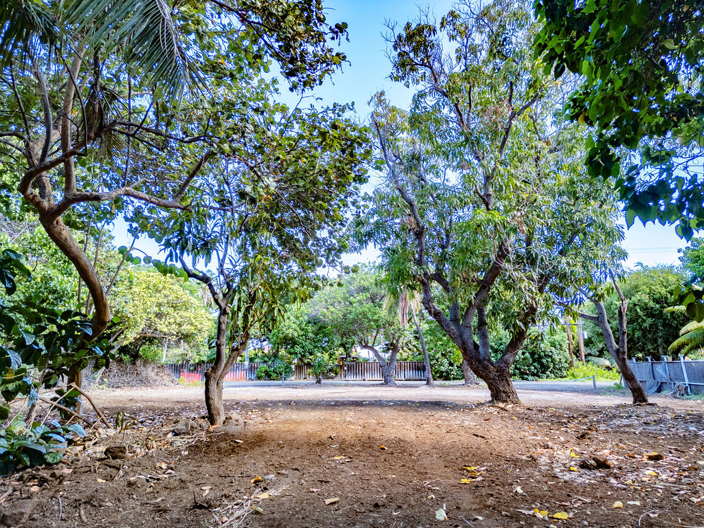 69-1819 Puako Beach Dr Property Photo 24