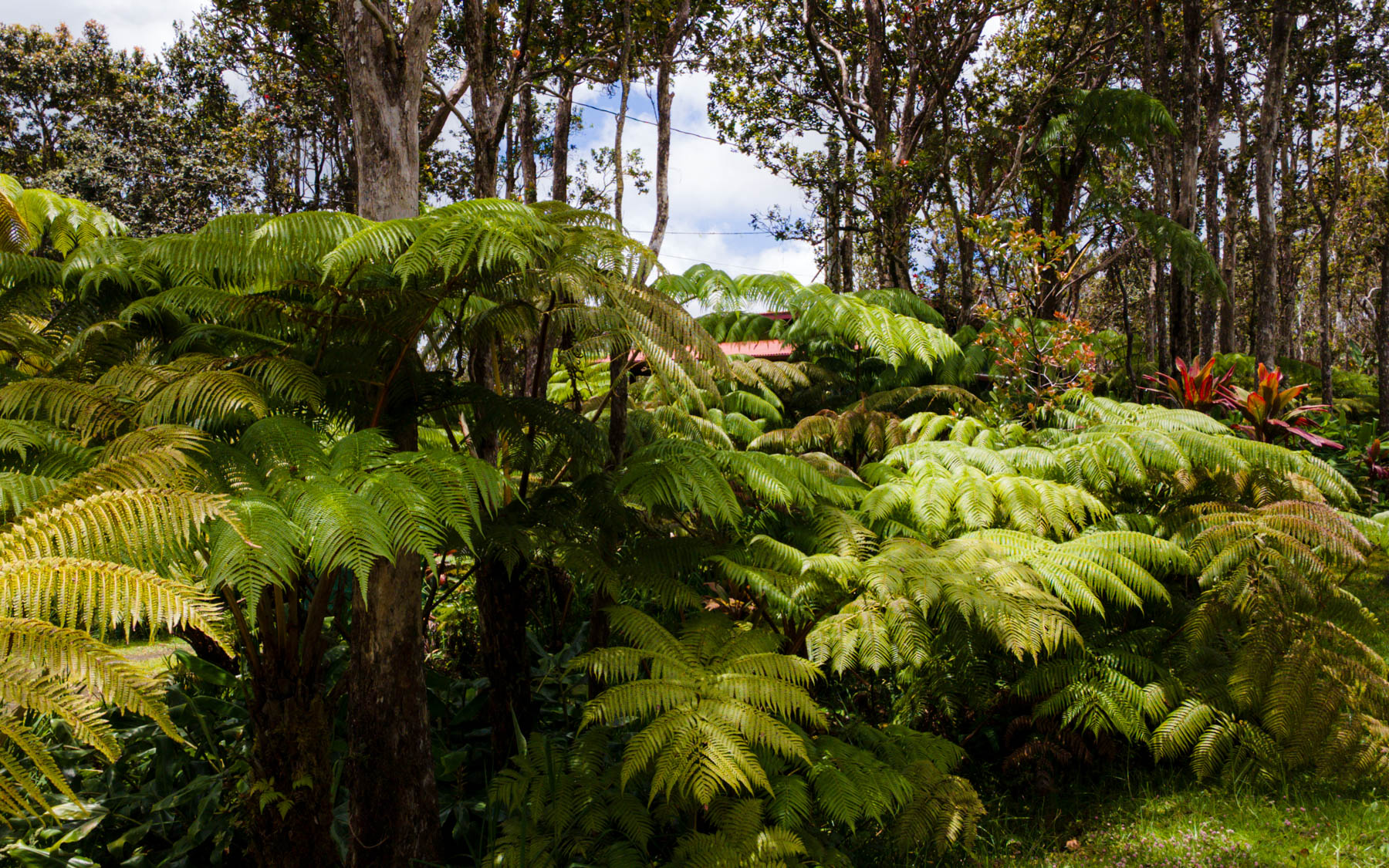 Mokuna St Property Photo 3