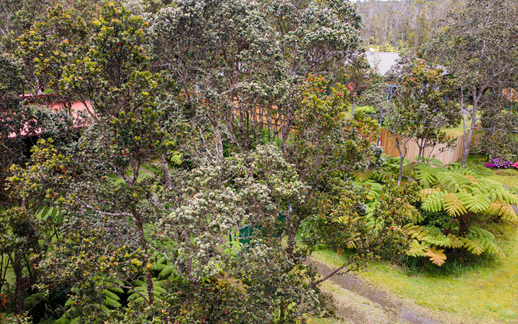 Mokuna St Property Photo 11
