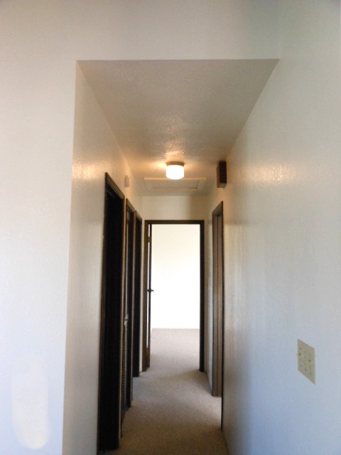 64-5168-b Kamamalu St Property Photo 9
