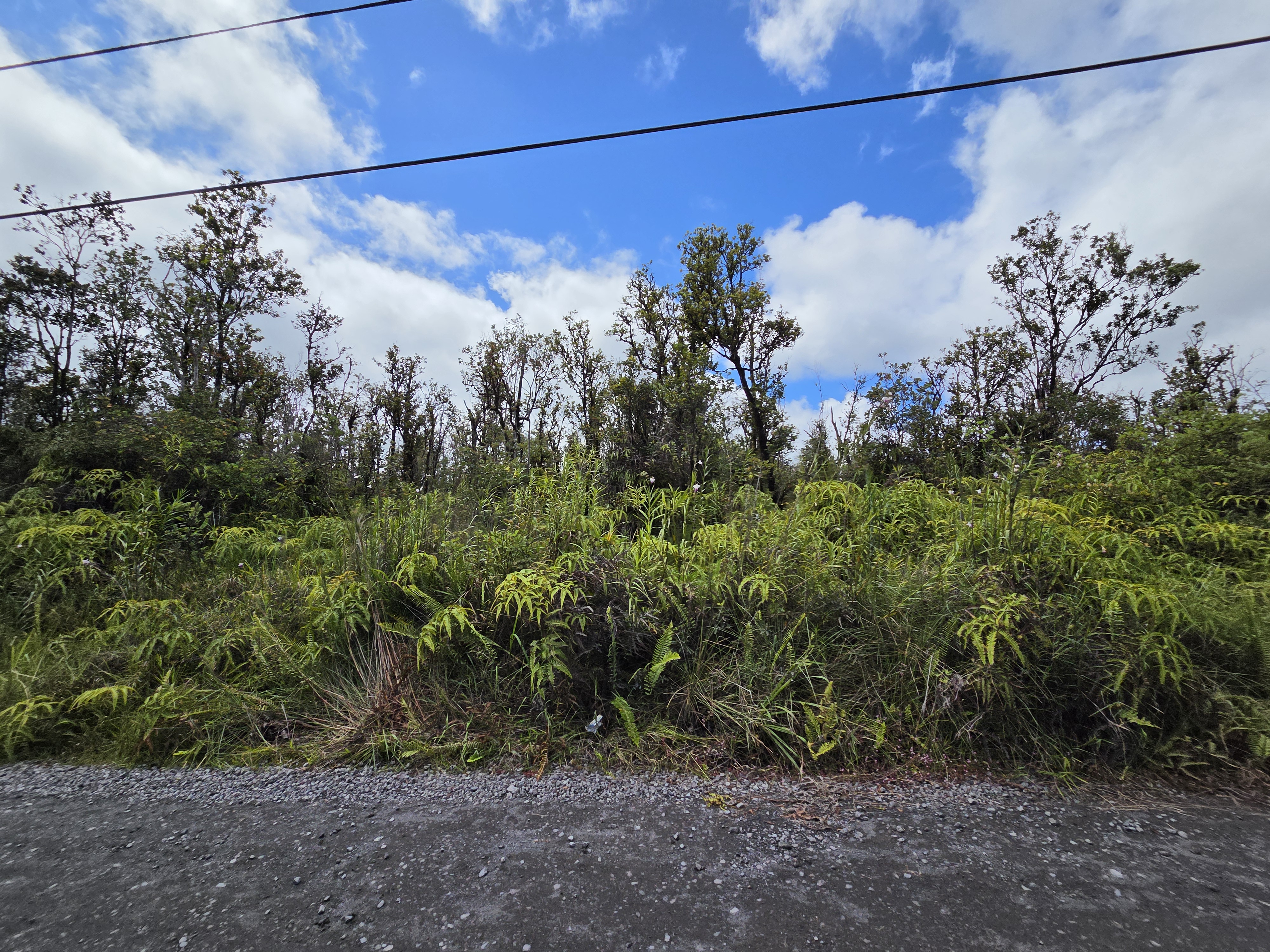 Leila Rd Property Photo 3