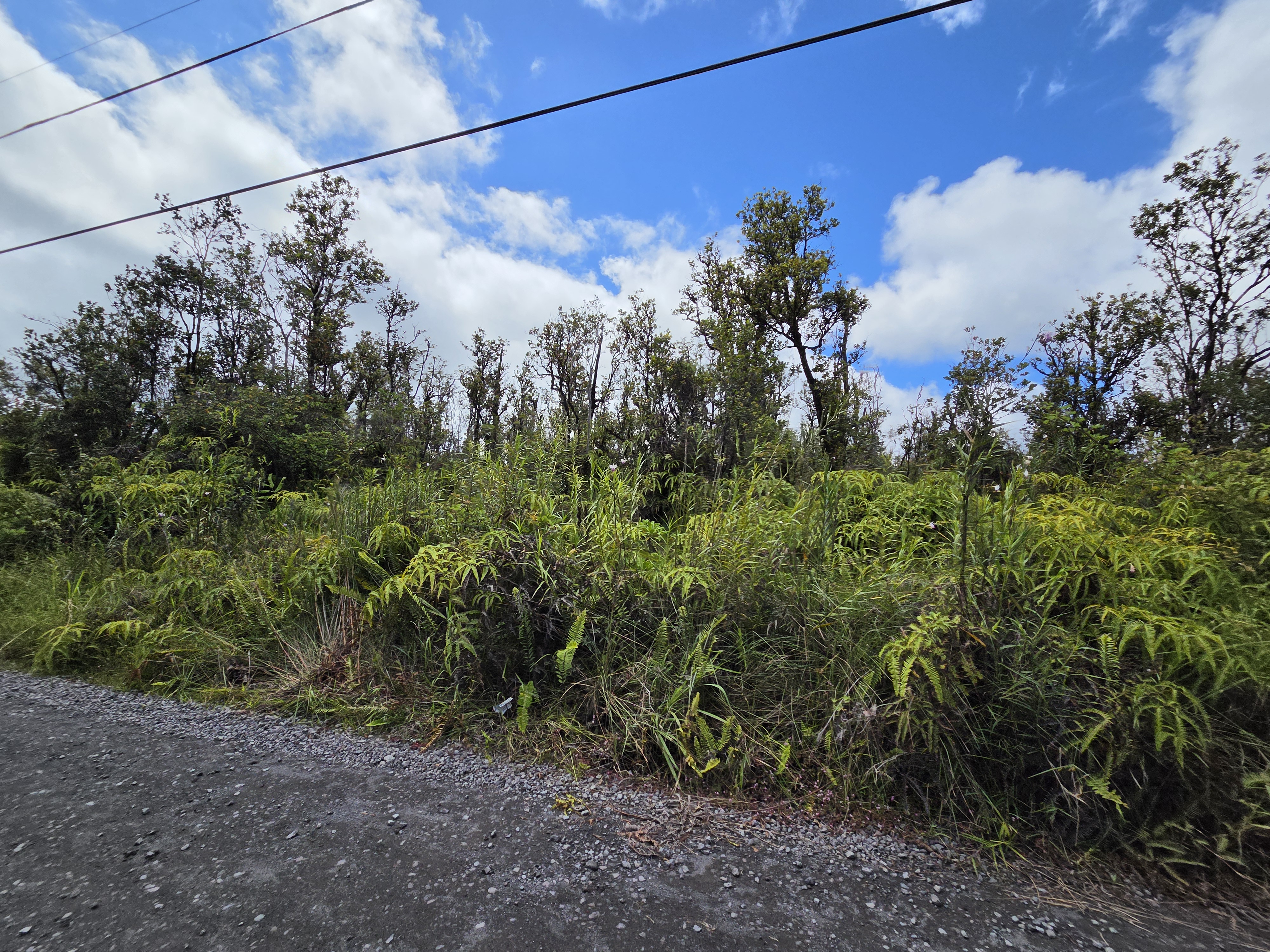 Leila Rd Property Photo 5