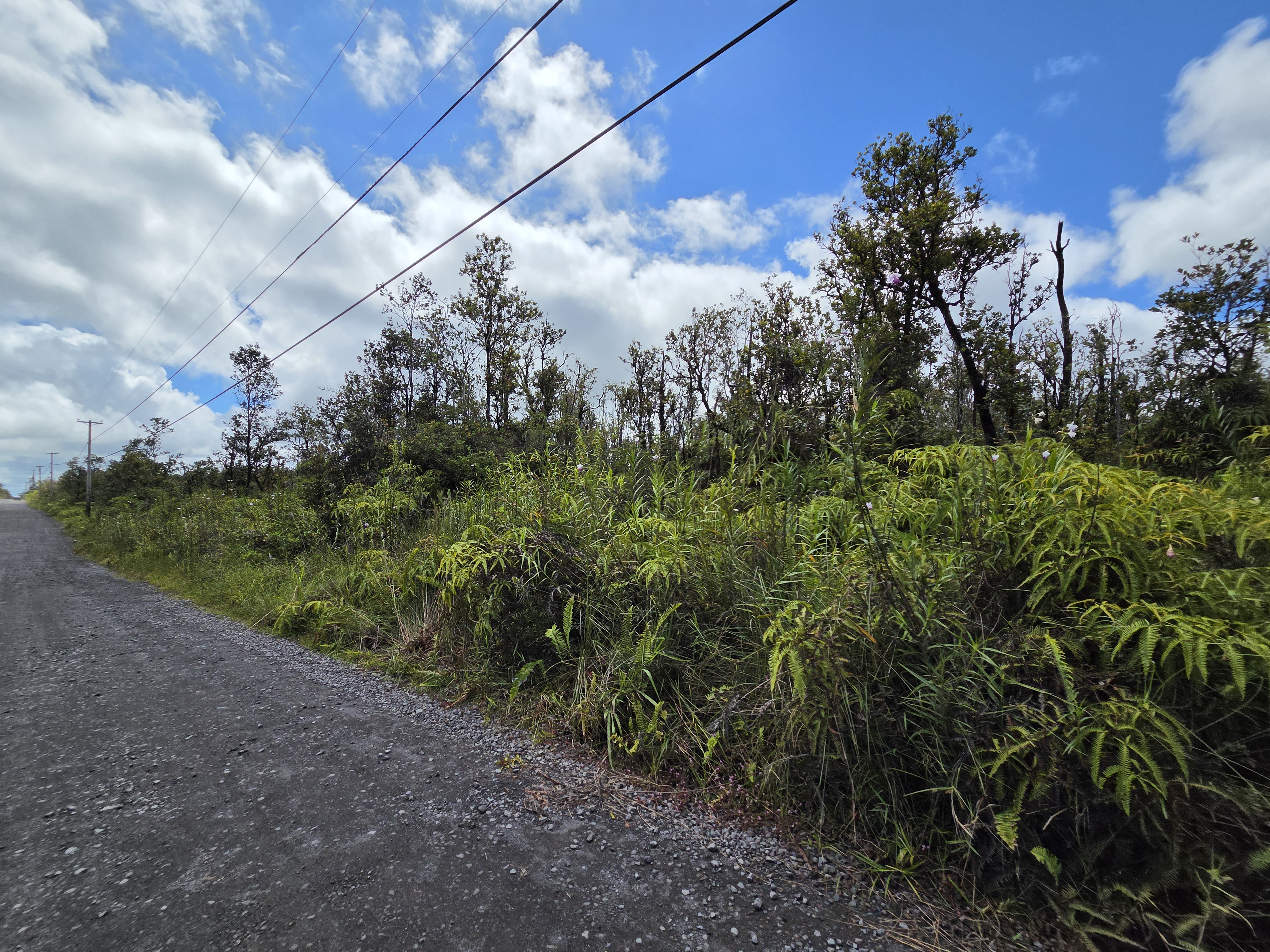 Leila Rd Property Photo 6