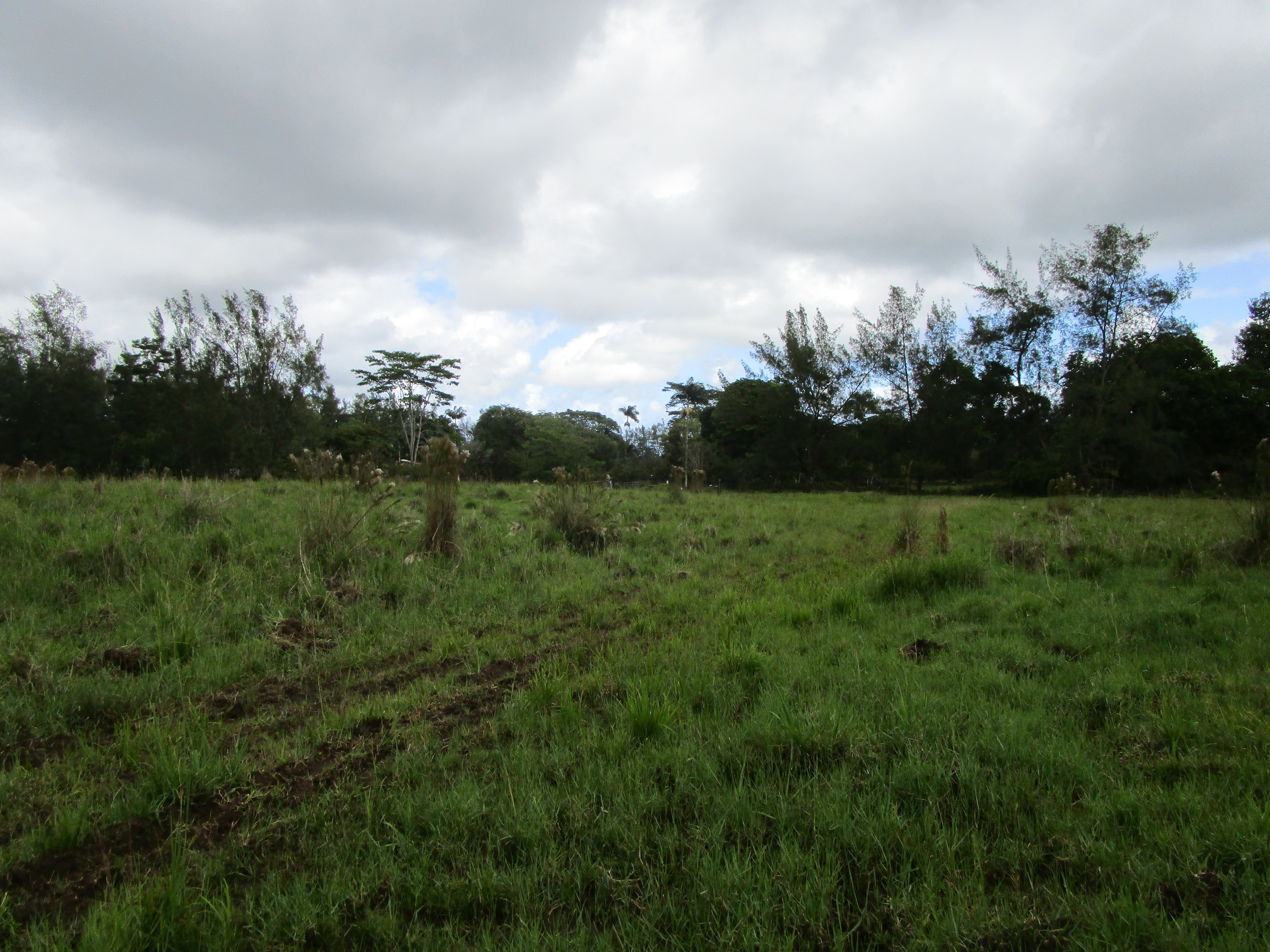 South Rd Property Photo 10