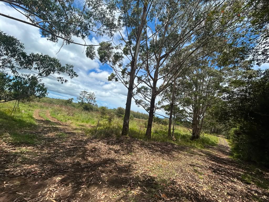 South Rd Property Photo 16