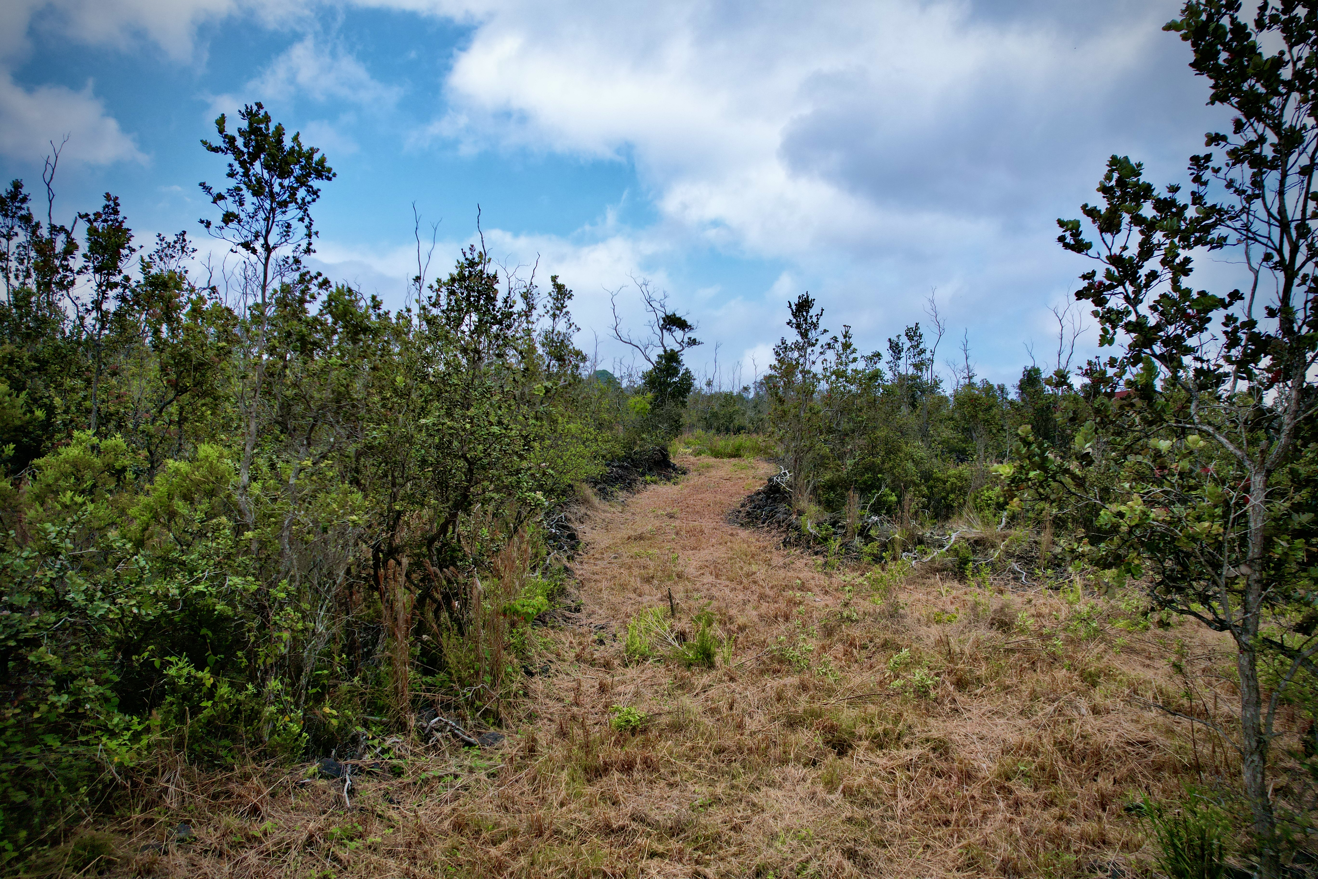 Paradise Pkwy Property Photo 5