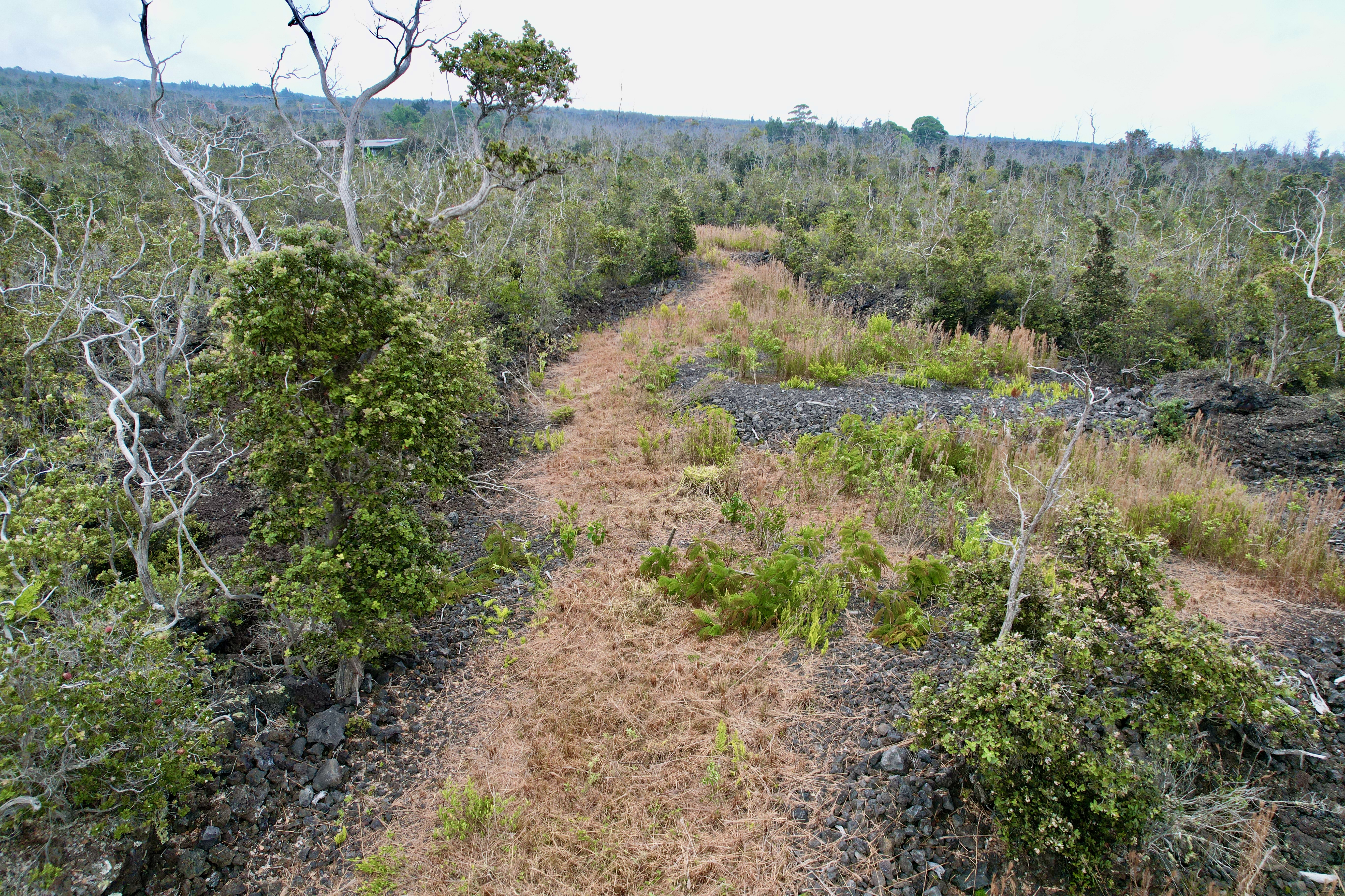 Paradise Pkwy Property Photo 6