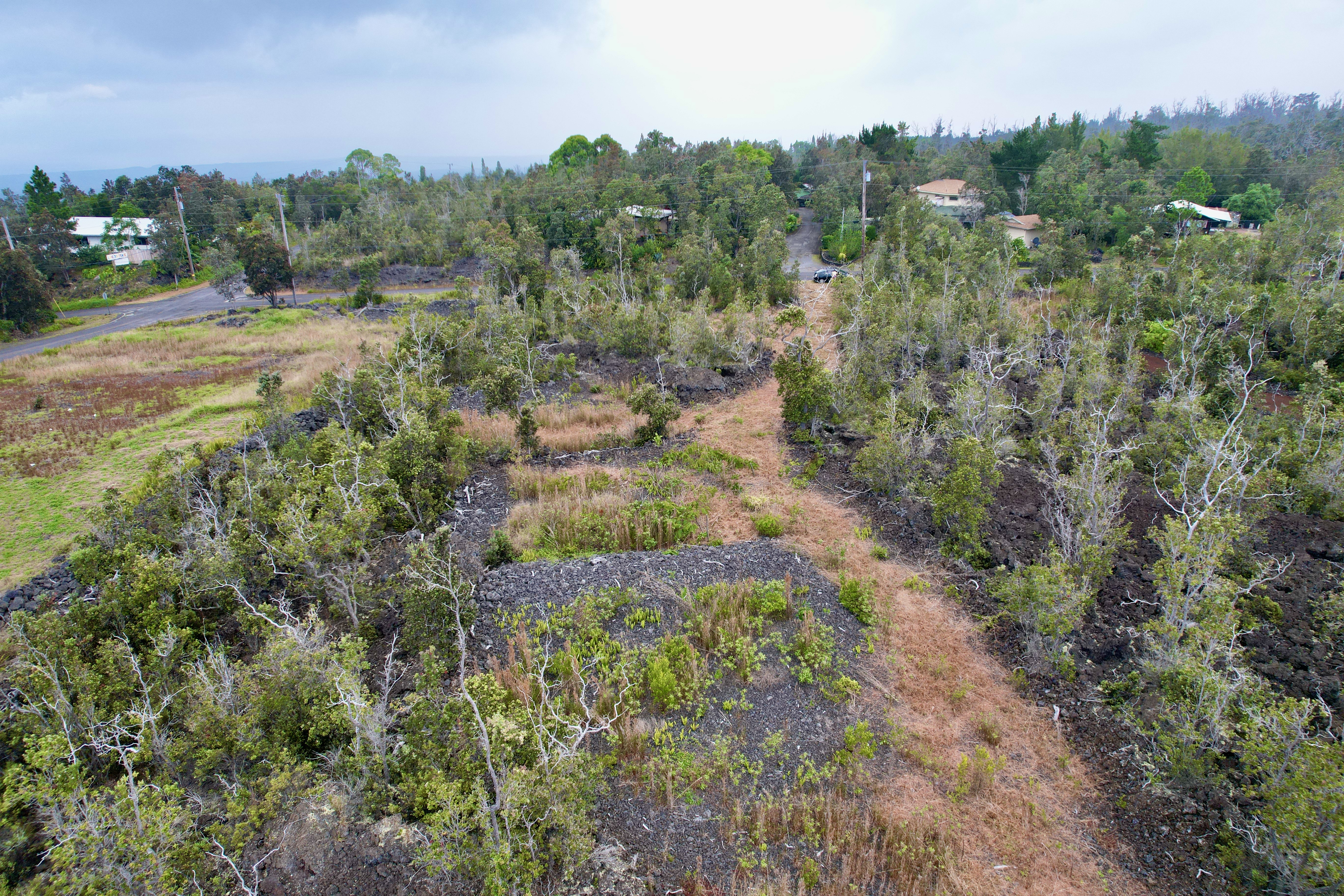 Paradise Pkwy Property Photo 7