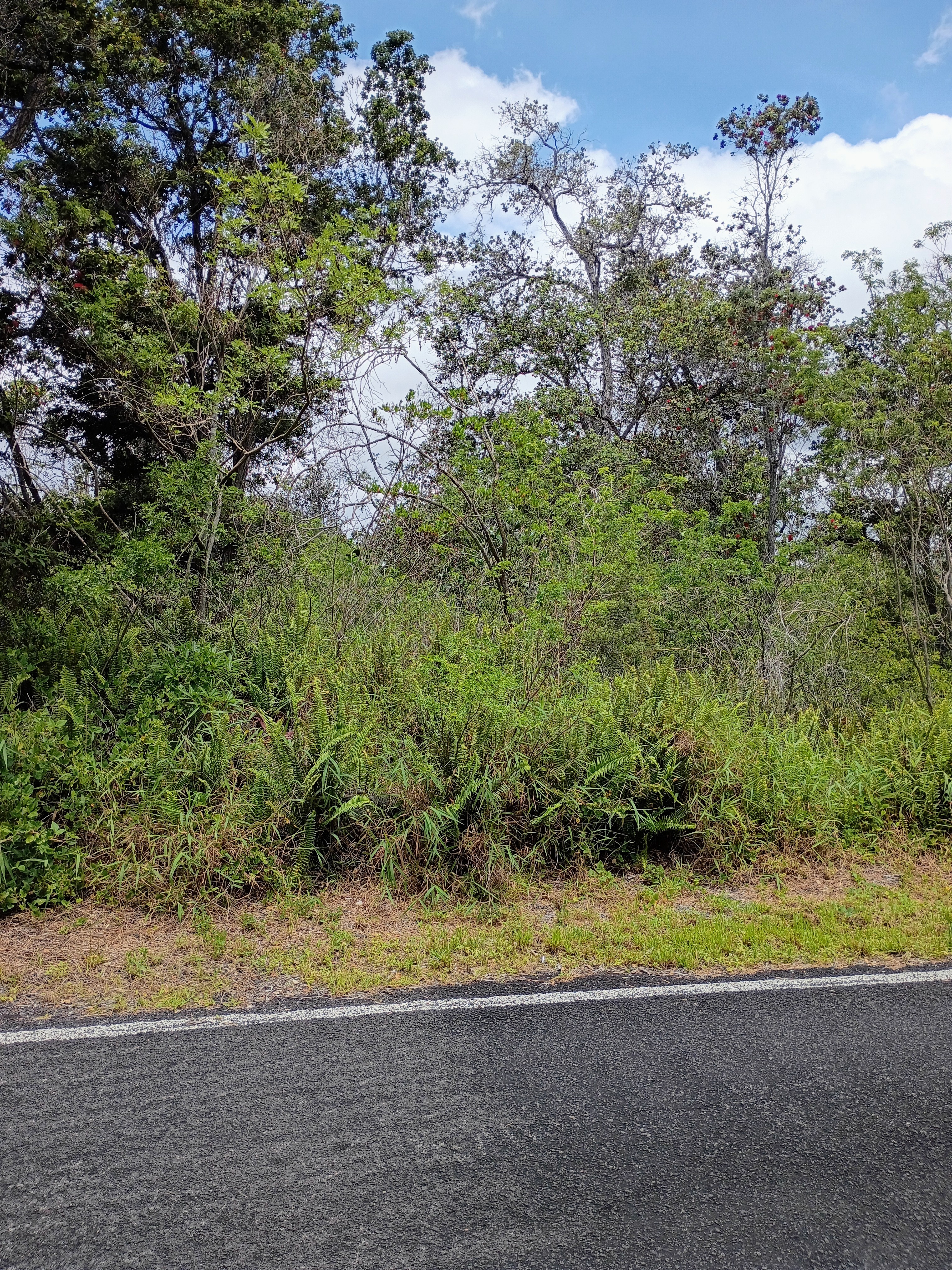 92-8633 Catamaran Ln Property Photo 7