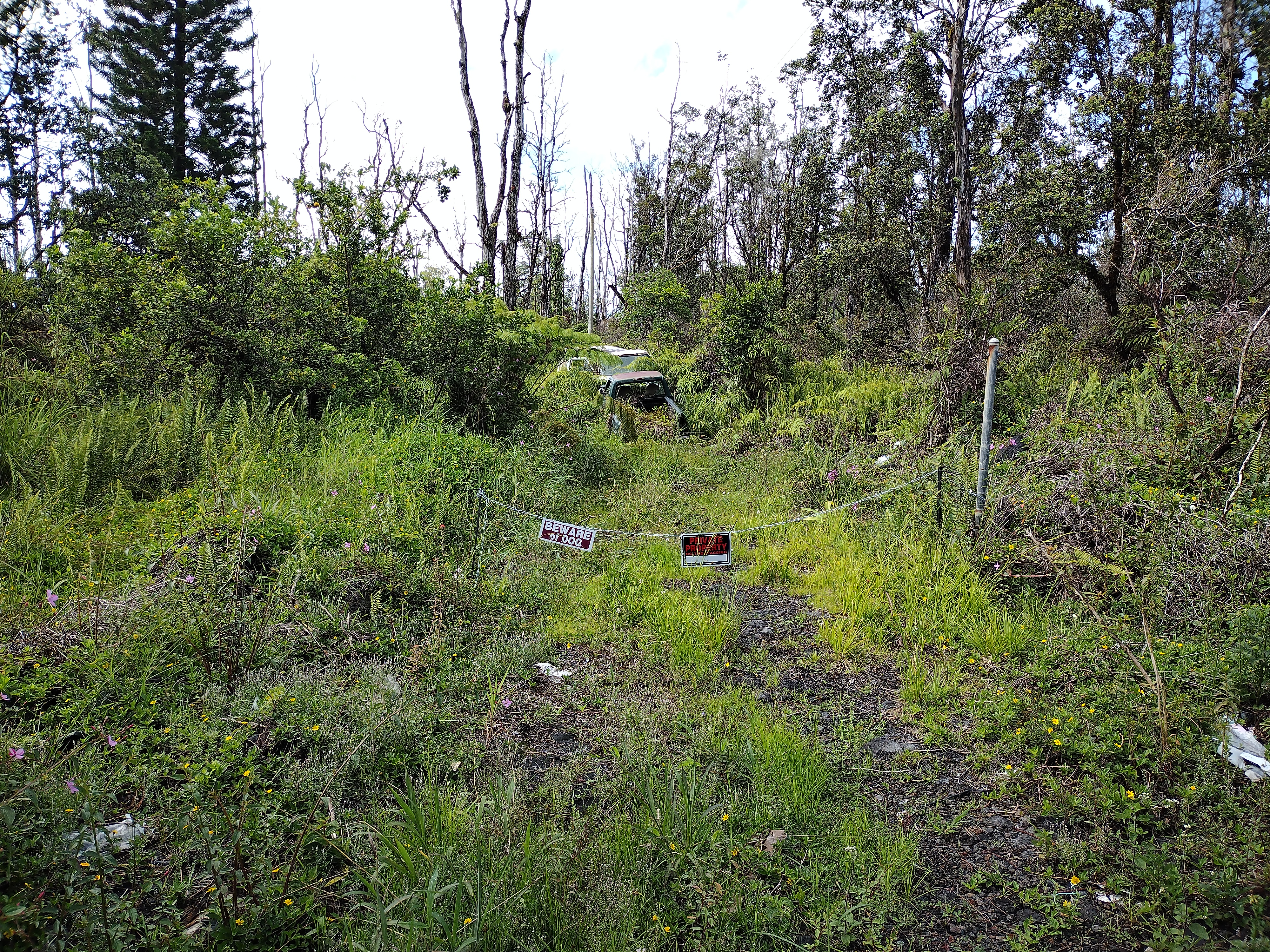 16-759-a Wao Kele Rd Property Photo 3