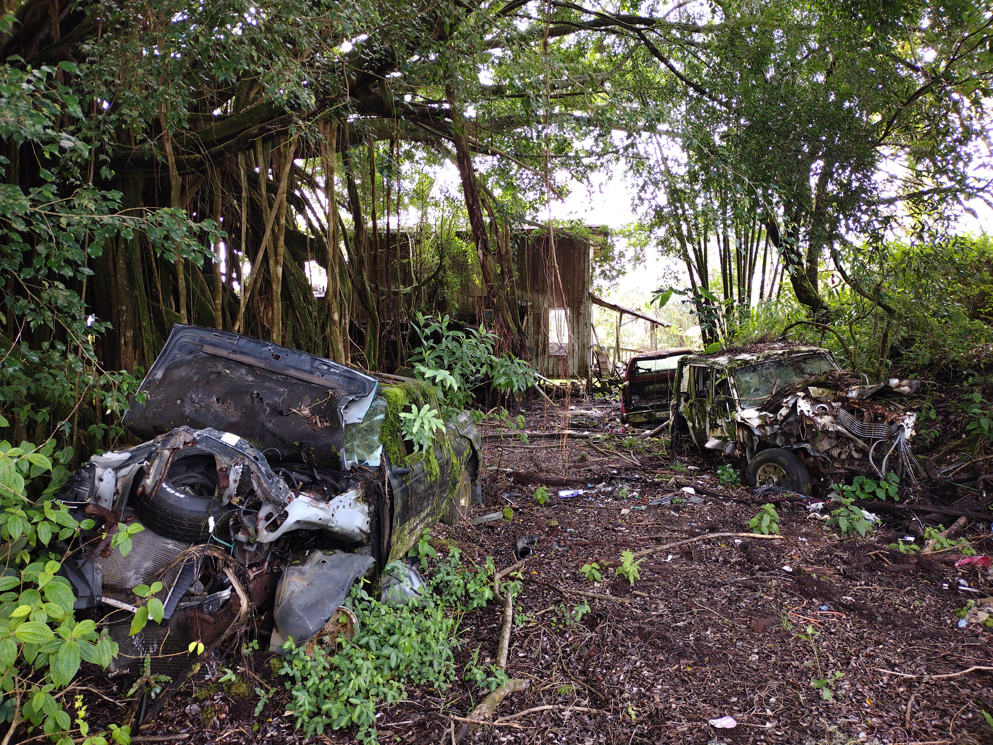 16-759-a Wao Kele Rd Property Photo 14