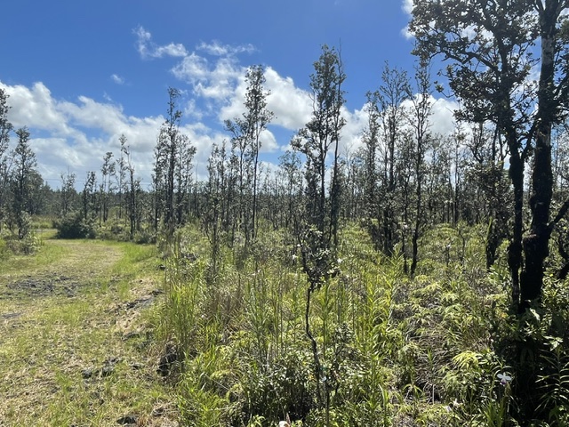 Road 6 (ooaa) Property Photo 14