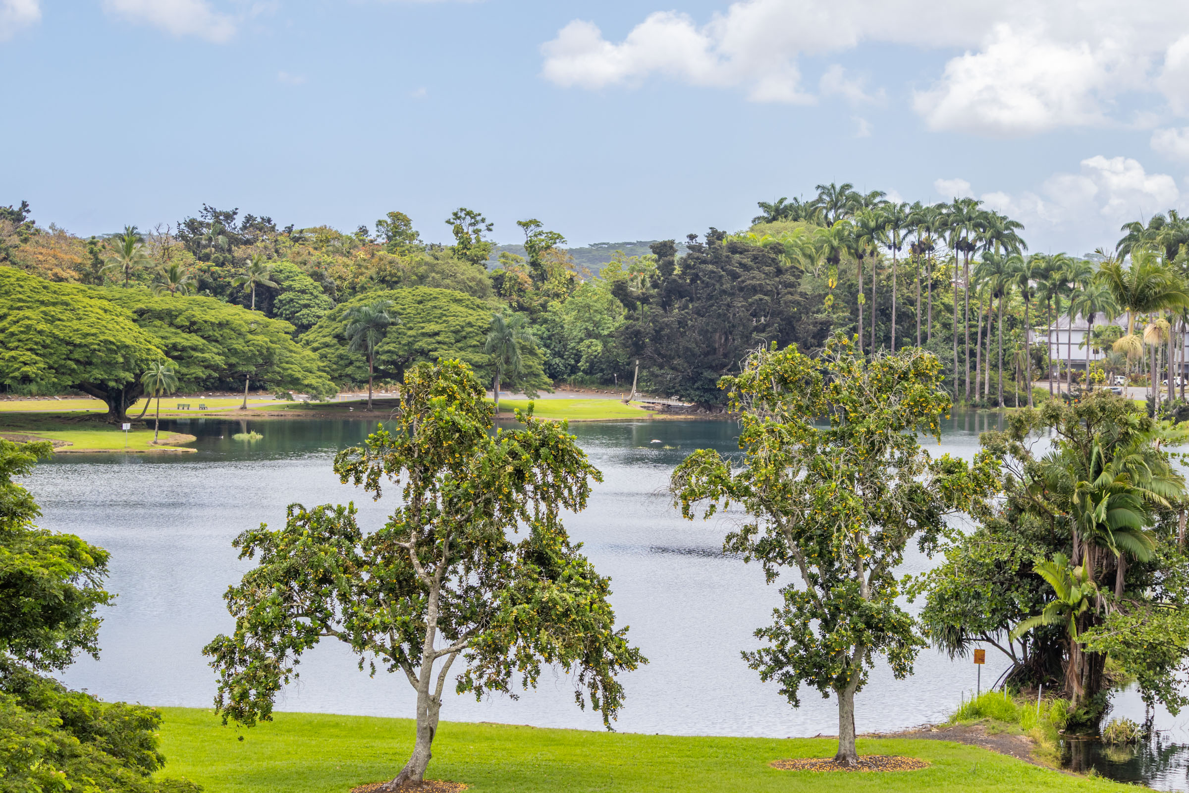 101 Hilo Lagoon Centre 510 Property Photo 1