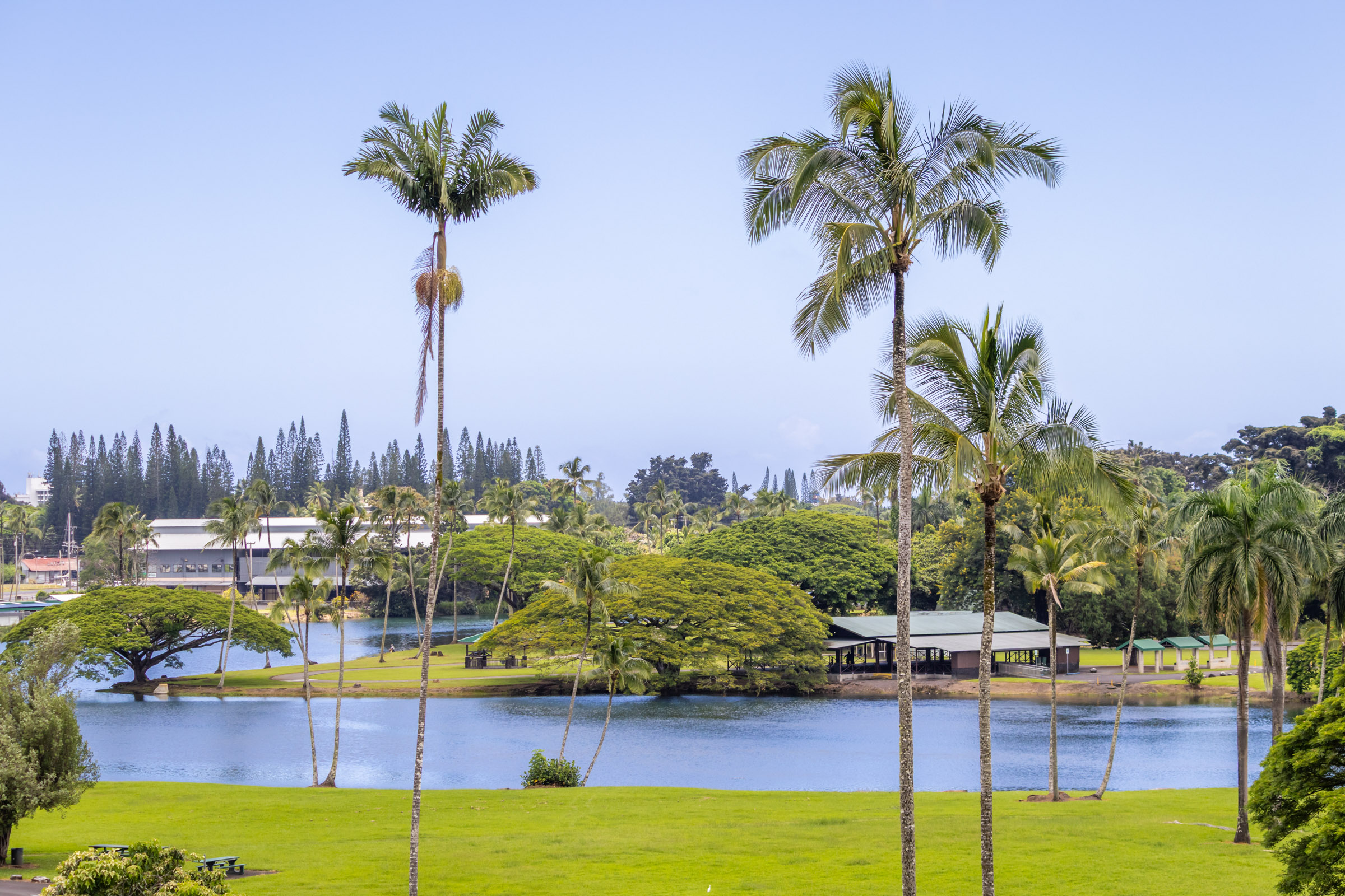 101 Hilo Lagoon Centre 510 Property Photo 7