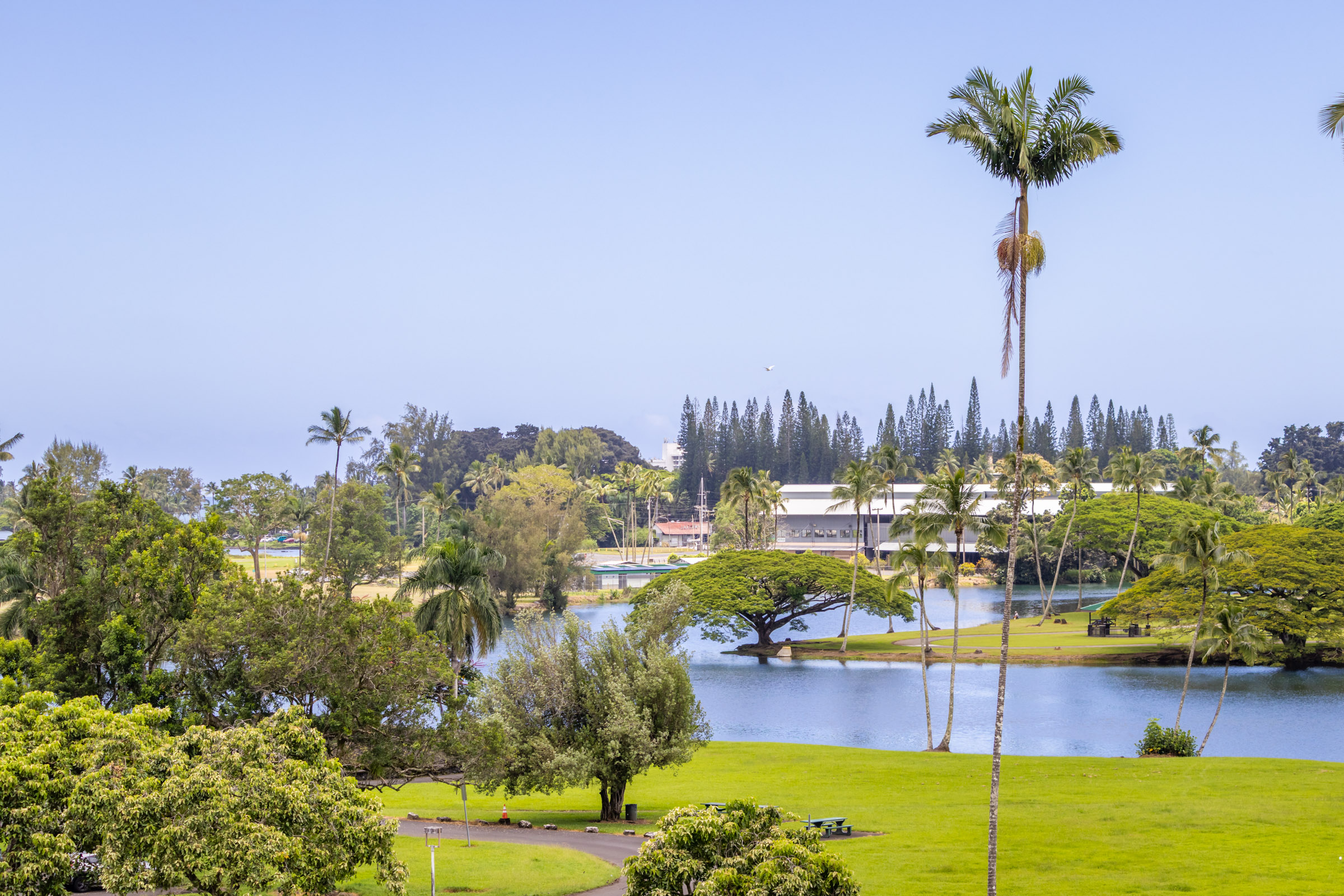 101 Hilo Lagoon Centre 510 Property Photo 8
