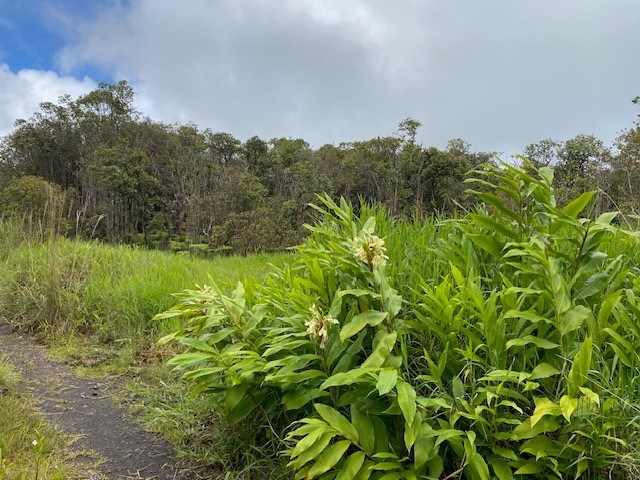 Road 6 Property Photo 1