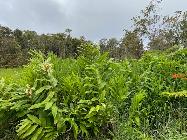 Road 6 Property Photo 2