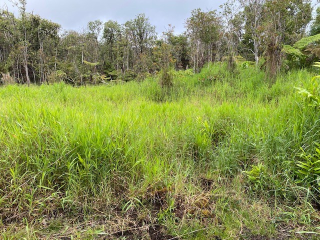 Road 6 Property Photo 3