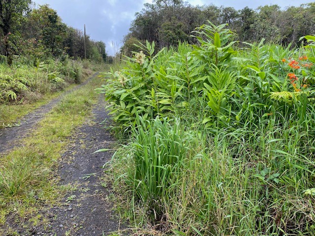 Road 6 Property Photo 6