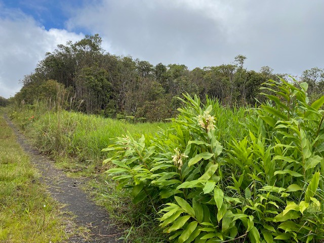 Road 6 Property Photo 8