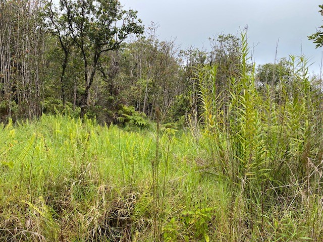 Road 6 Property Photo 3