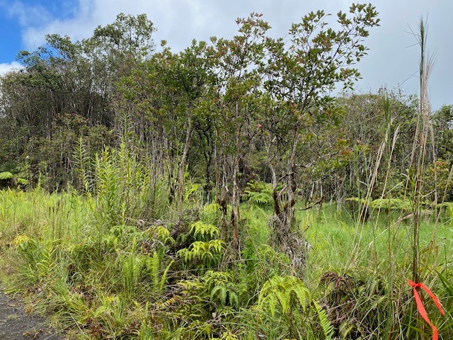 Road 6 Property Photo 5
