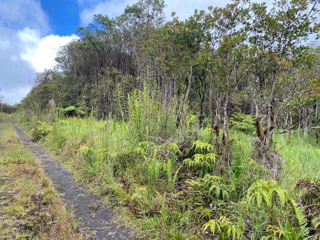 Road 6 Property Photo 6
