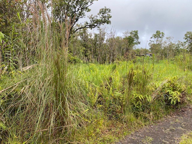 Road 6 Property Photo 7