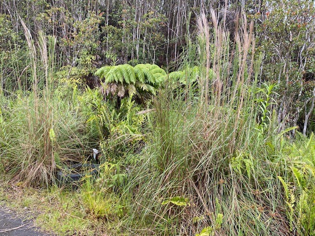 Road 6 Property Photo 9