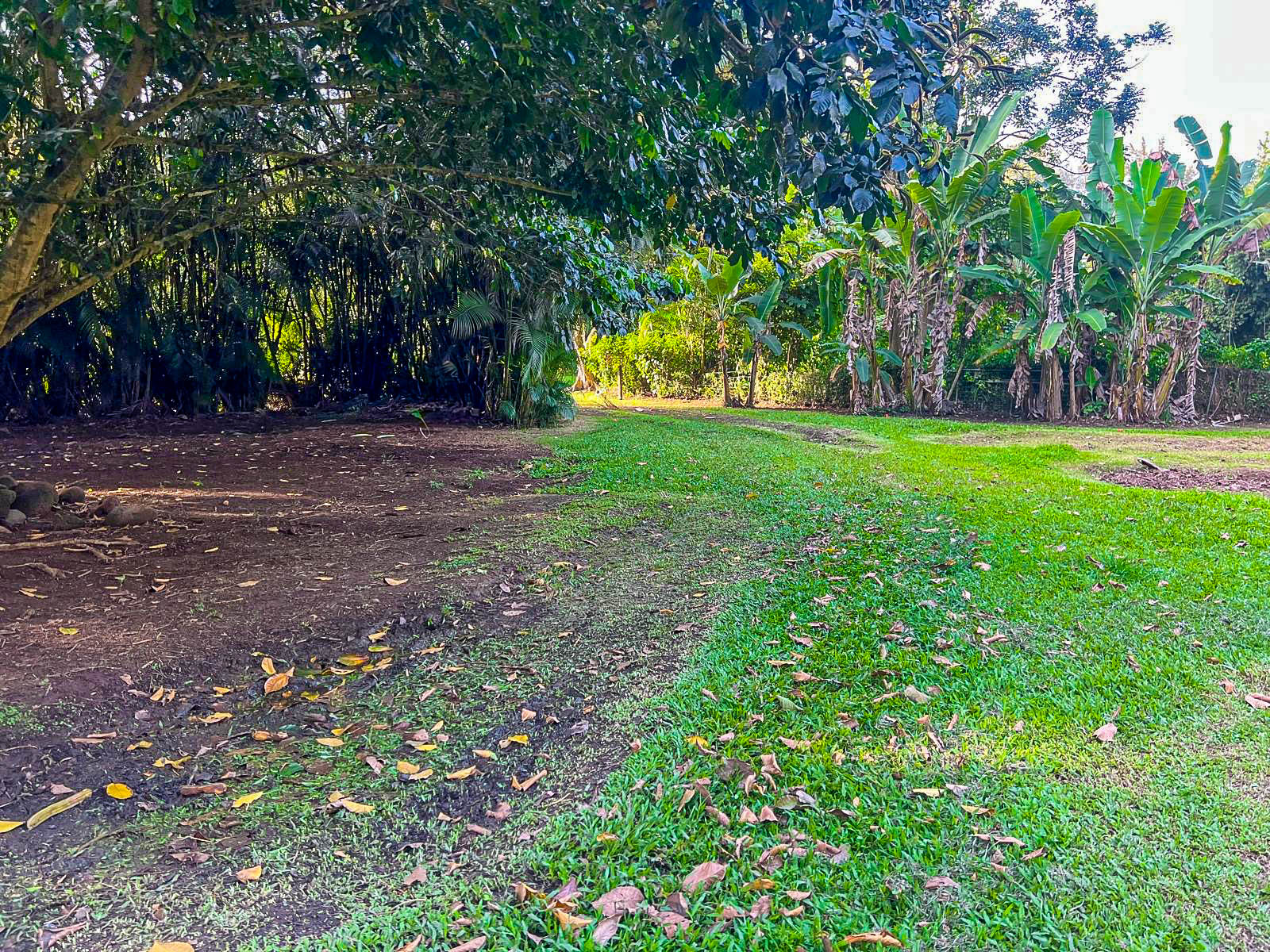 5-6671 Kuhio Hwy Property Photo 6