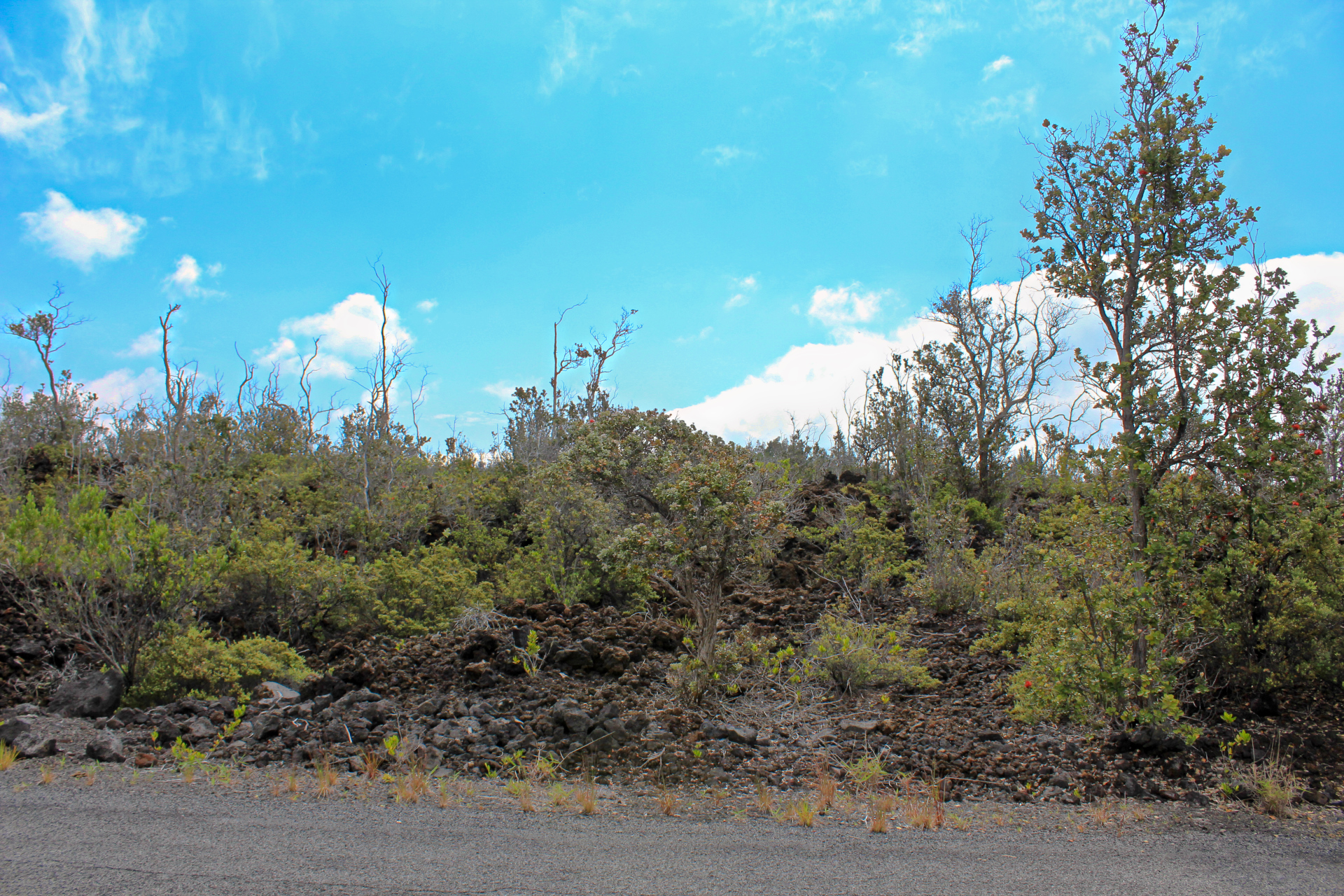 Koa Ln Property Photo 2
